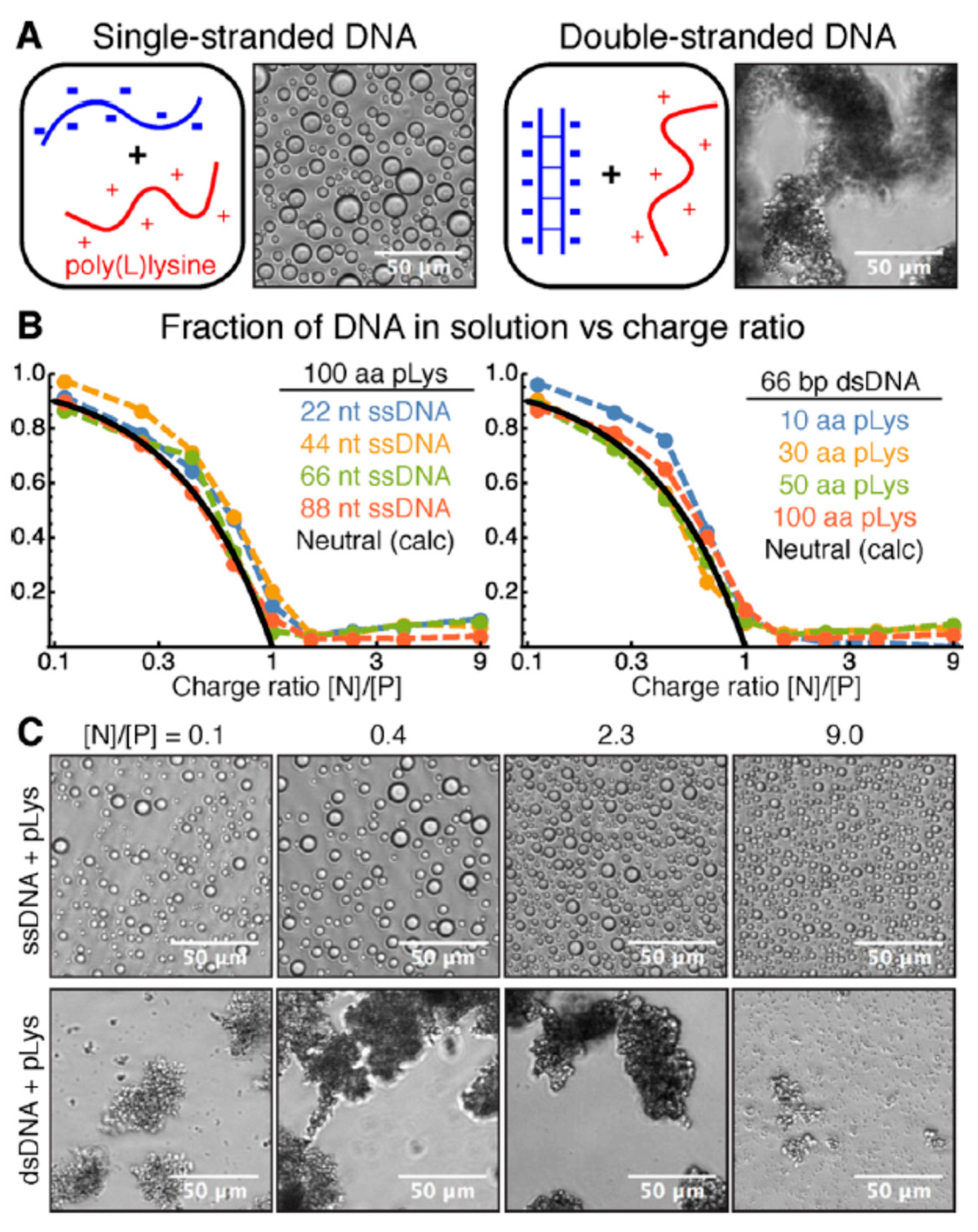 Colloids 06 00045 g003 Colloids 06 00045 g003