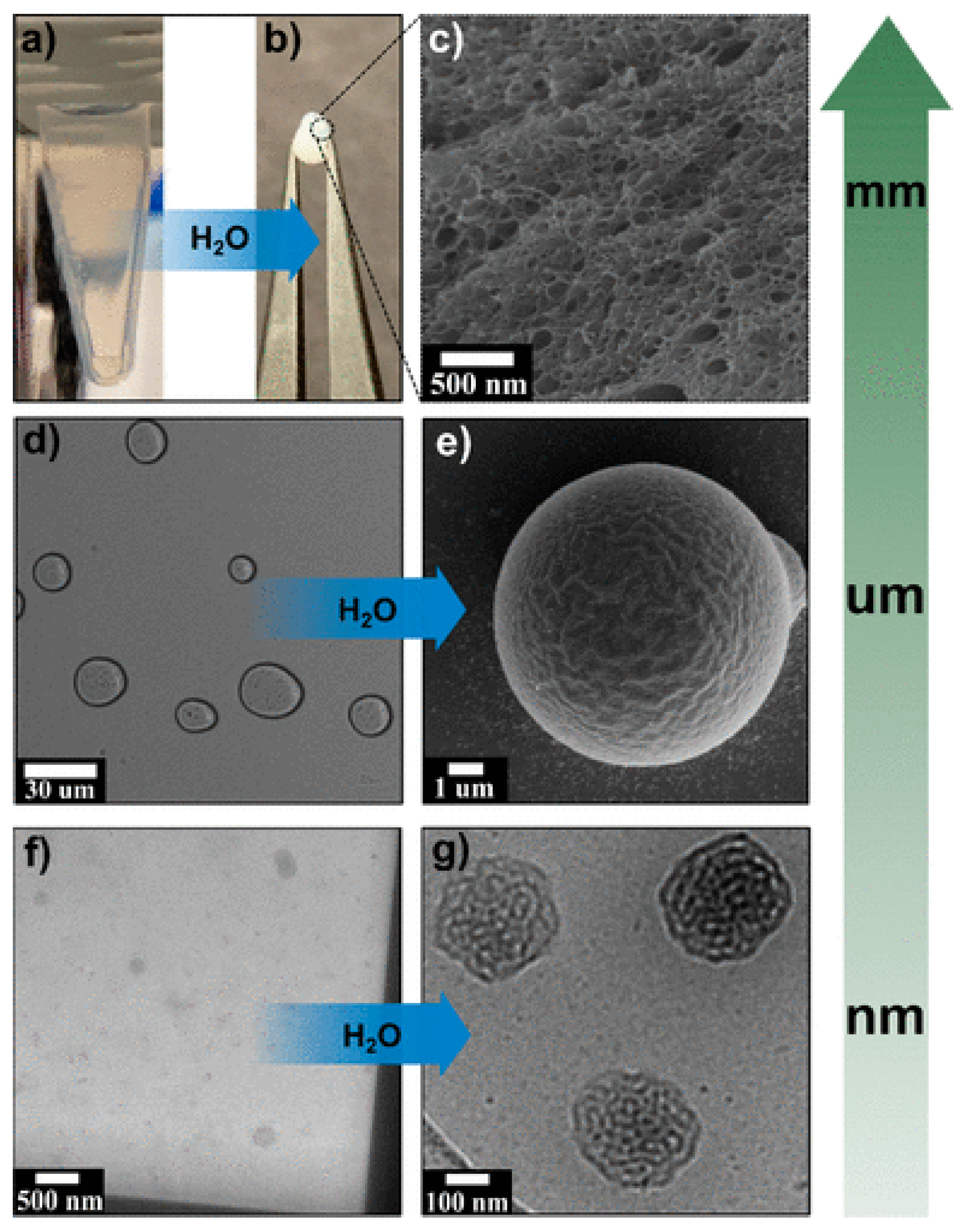 Colloids 06 00045 g005 Colloids 06 00045 g005