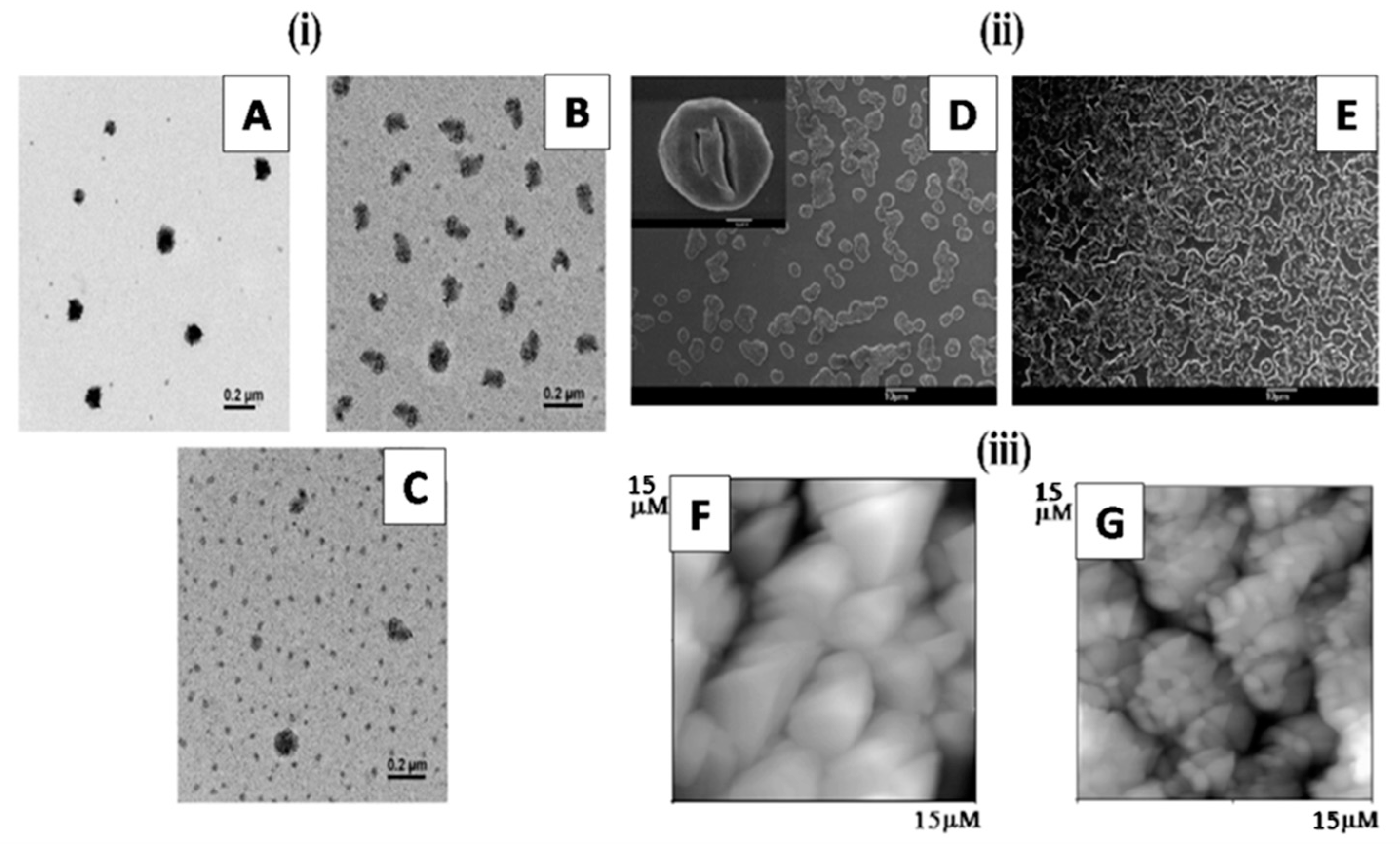 Colloids 06 00045 g010 Colloids 06 00045 g010