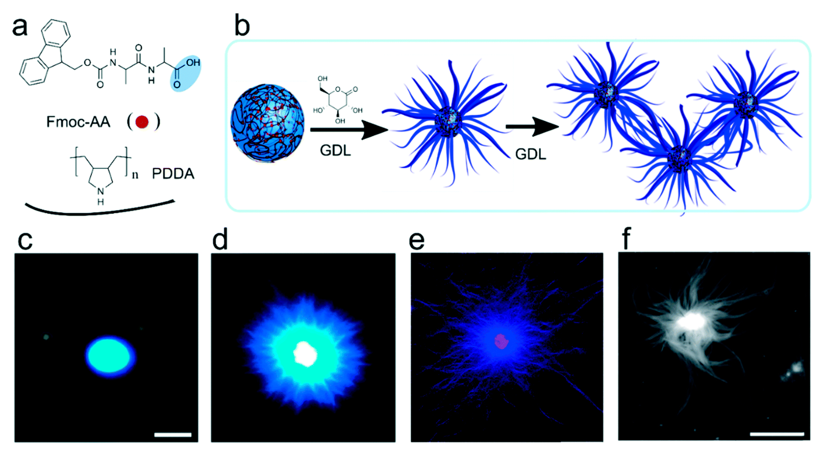 Colloids 06 00045 g013 Colloids 06 00045 g013