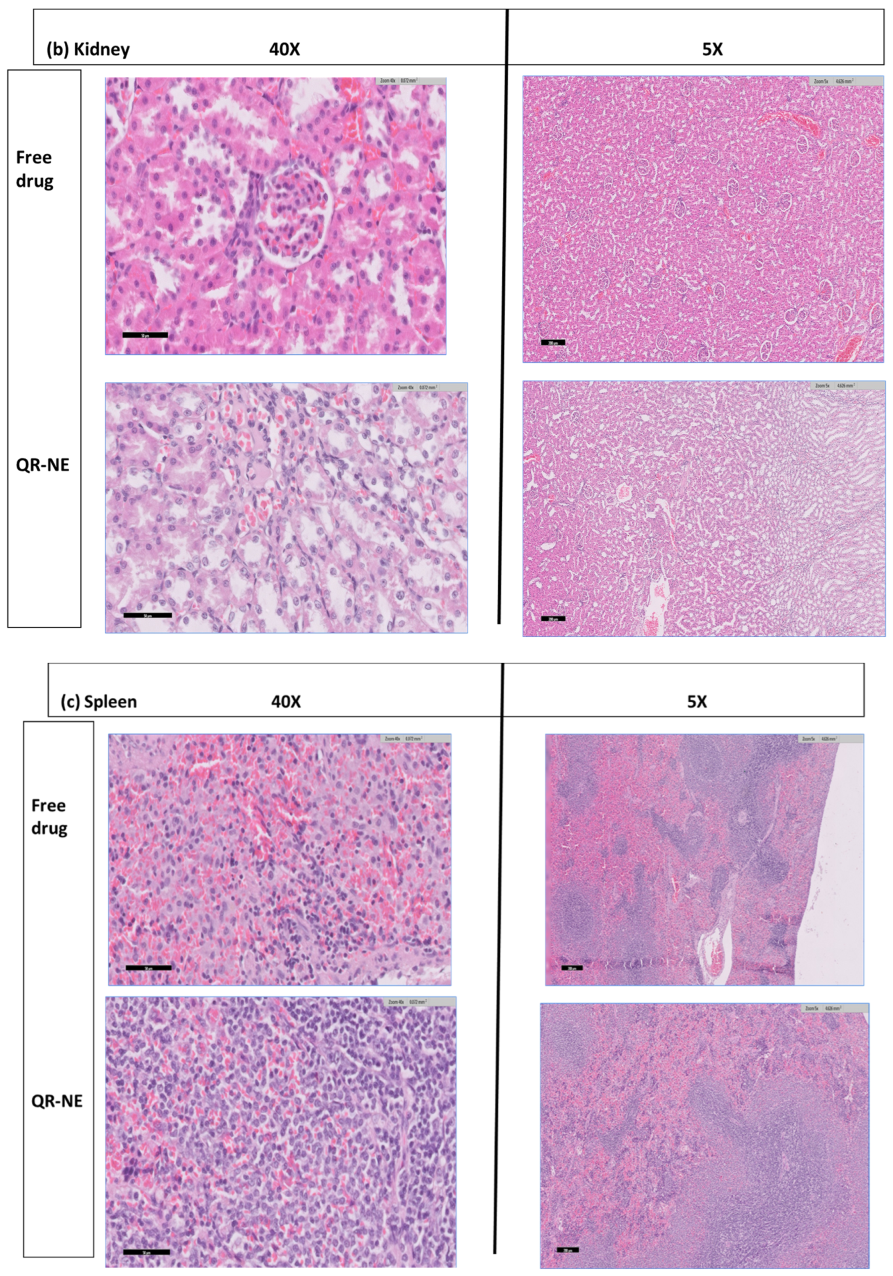 Colloids 06 00049 g007b
