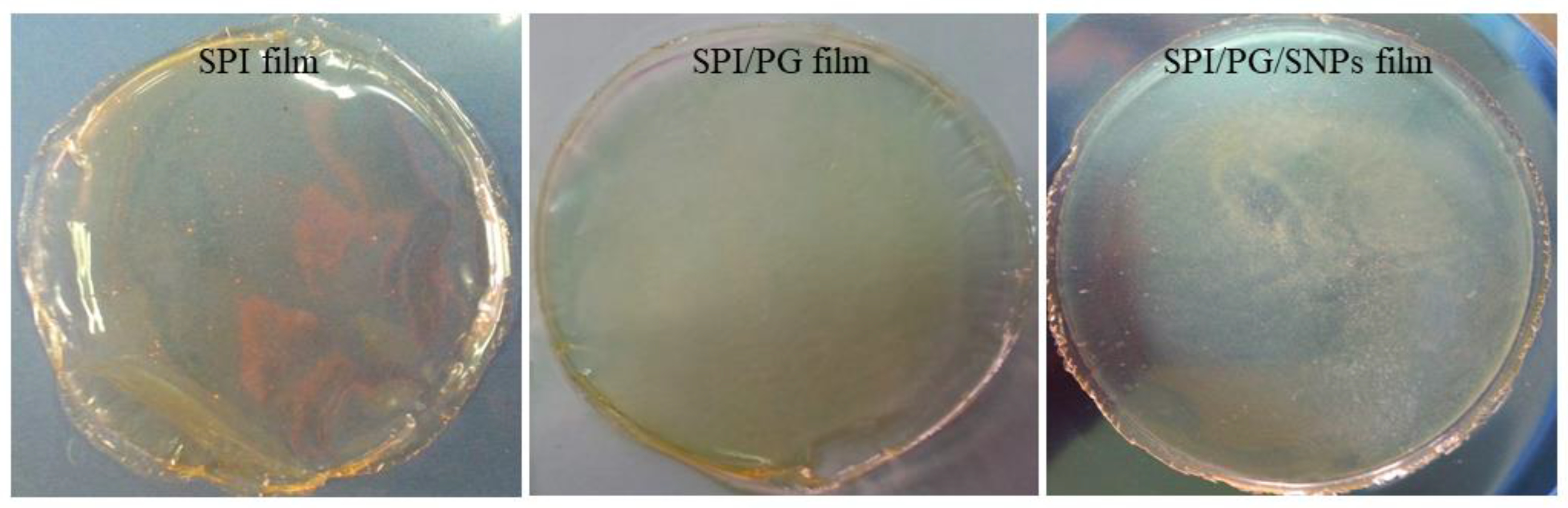 Colloids 06 00057 g001