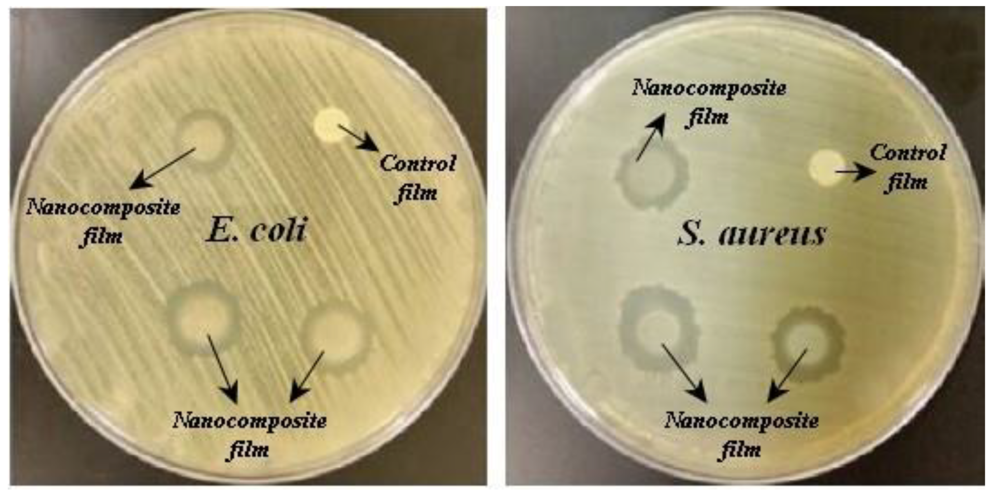 Colloids 06 00057 g005