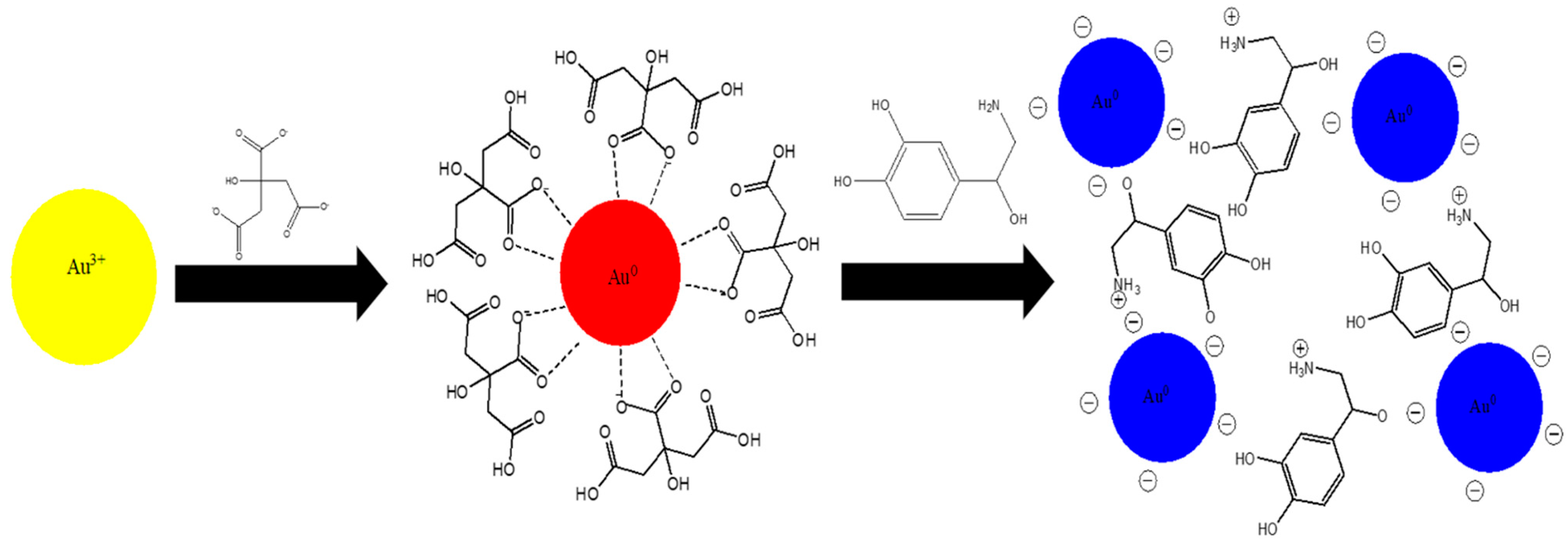 Colloids 06 00061 sch001