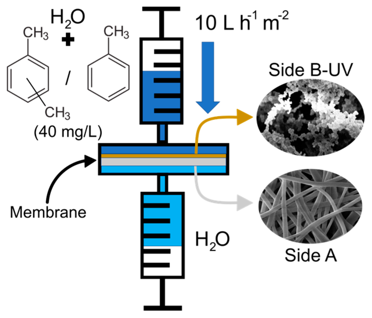 Colloids 06 00066 g002 Colloids 06 00066 g002
