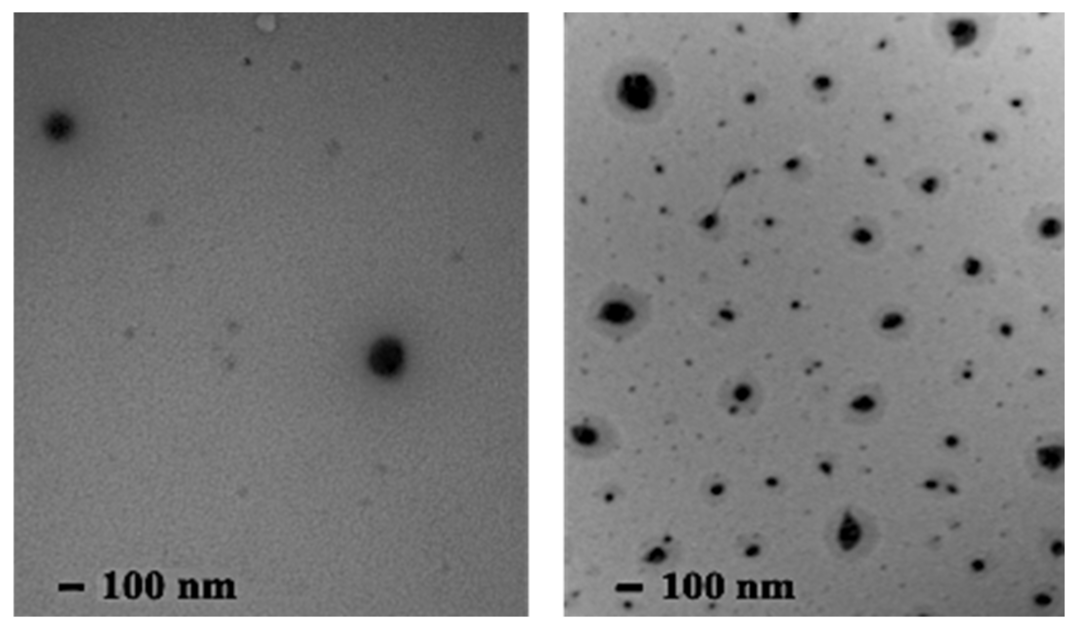 Colloids 06 00067 g006