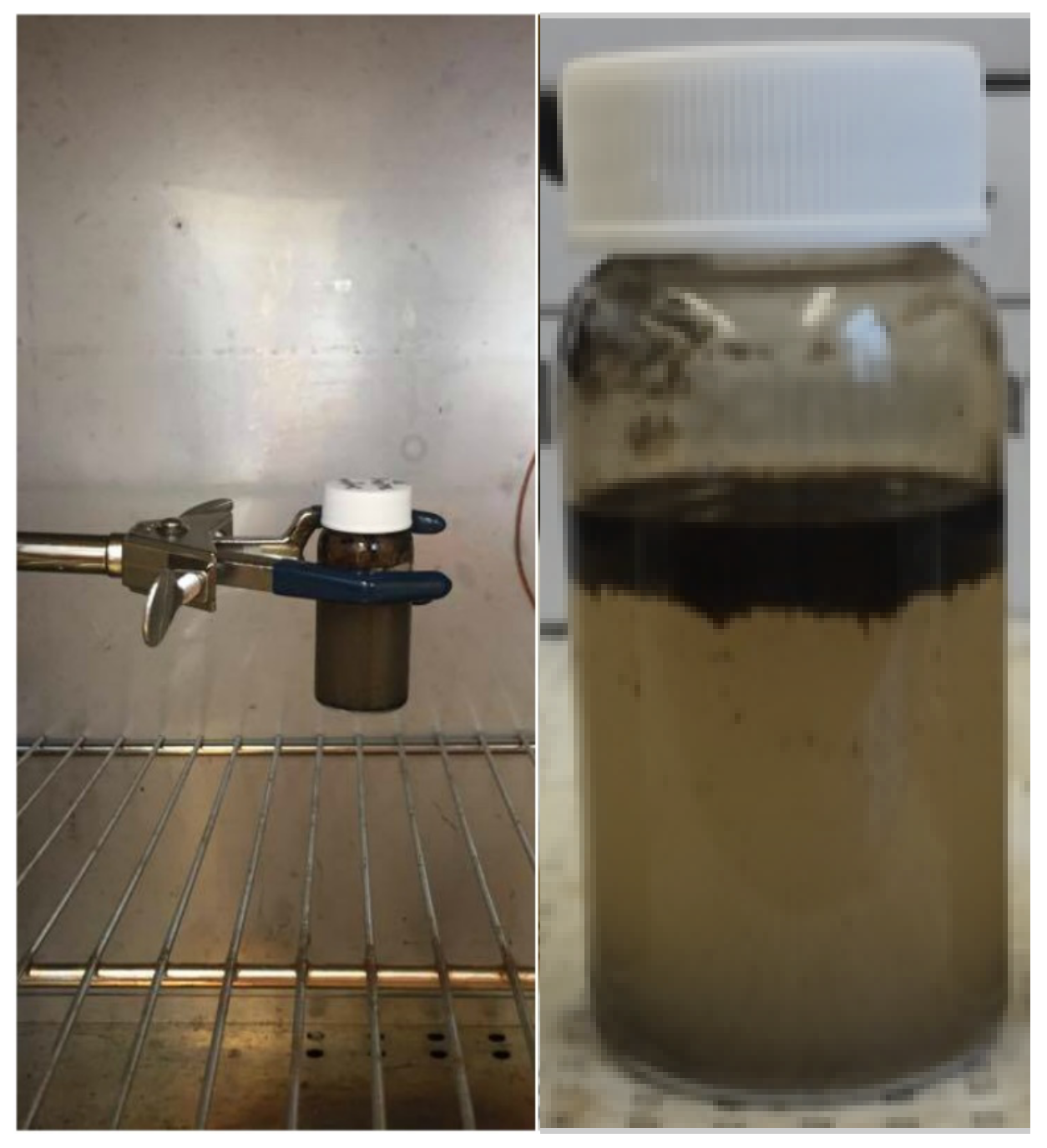 Colloids 06 00067 g007