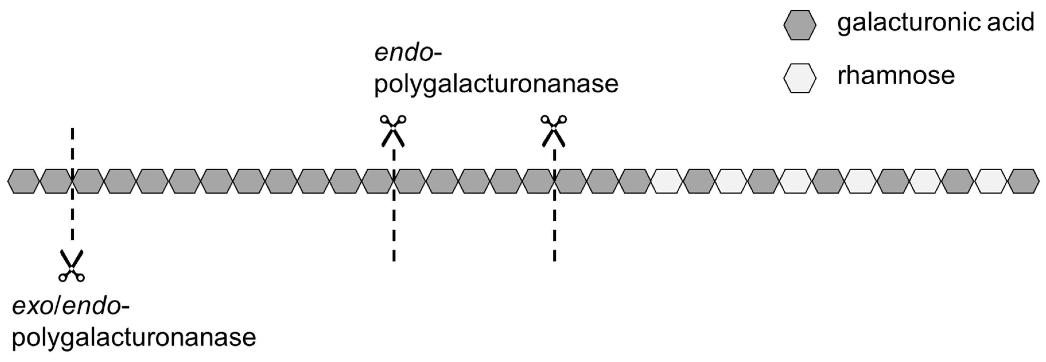 Colloids 06 00069 g001