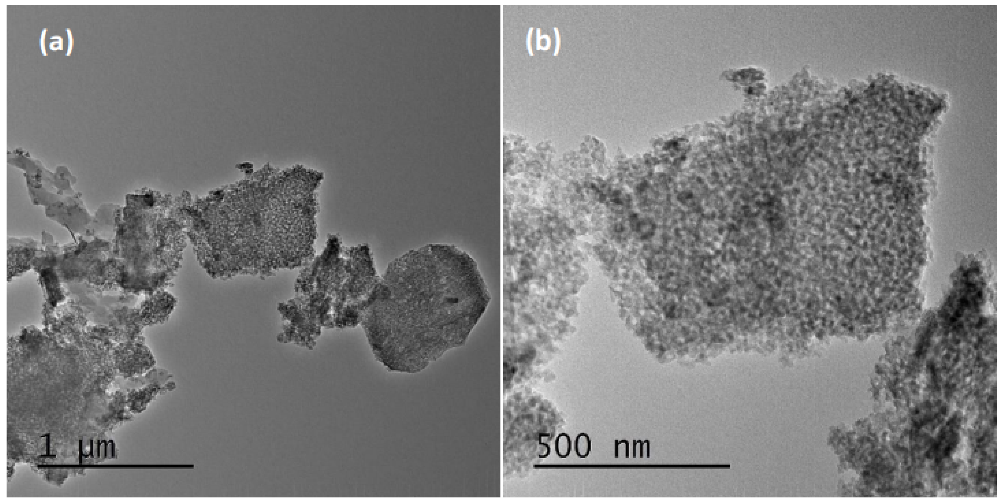 Colloids 06 00072 g004