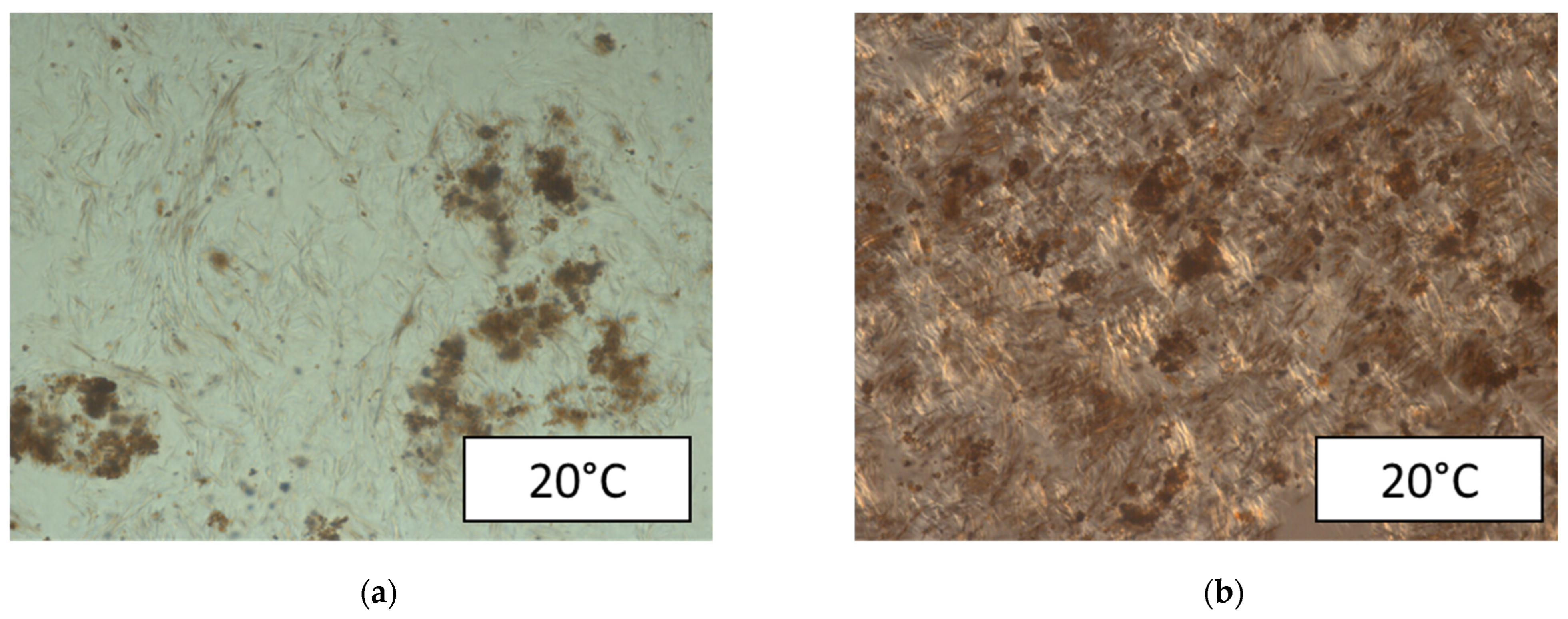 Colloids 07 00013 g006