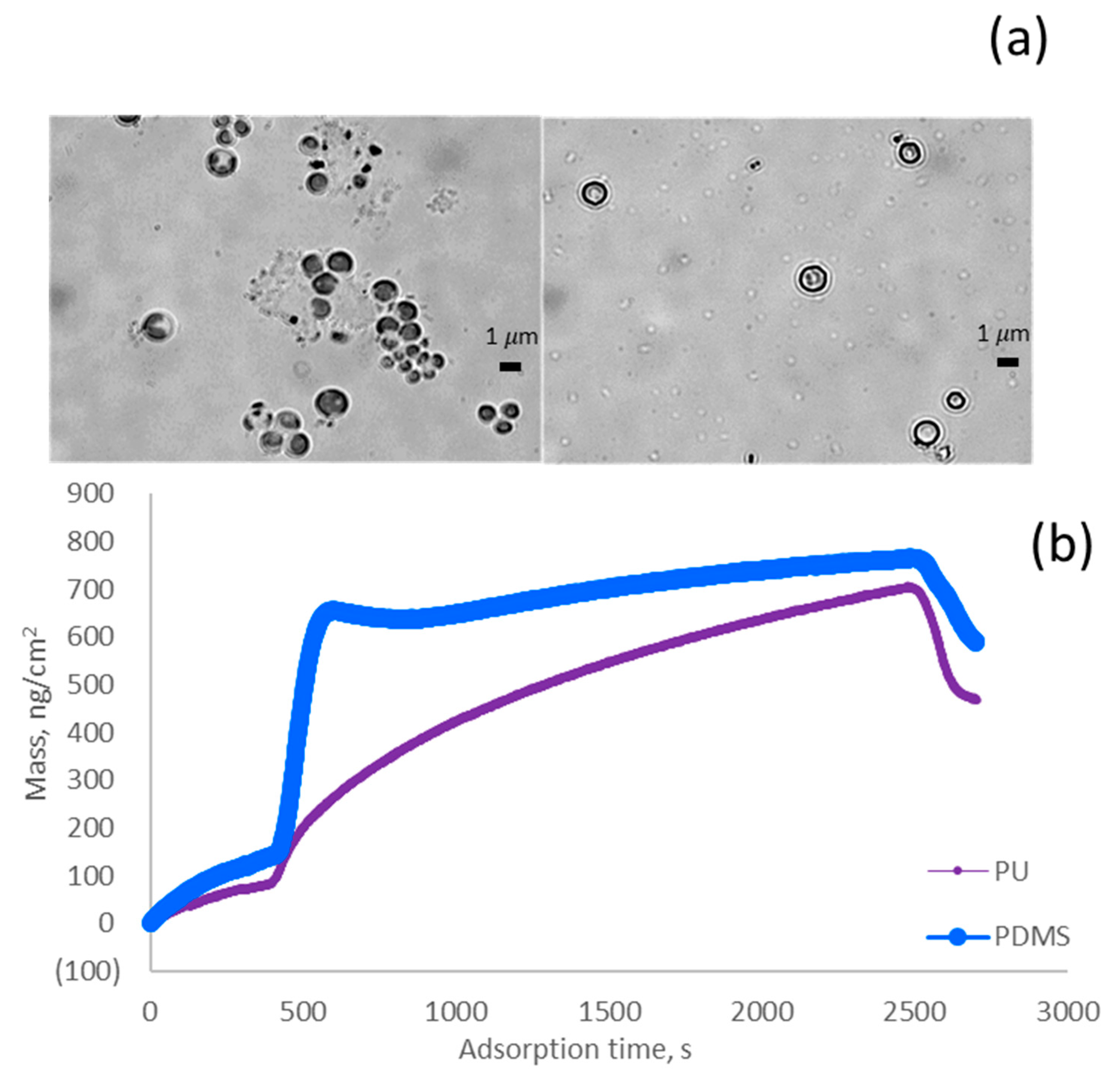 Colloids 07 00024 g002a