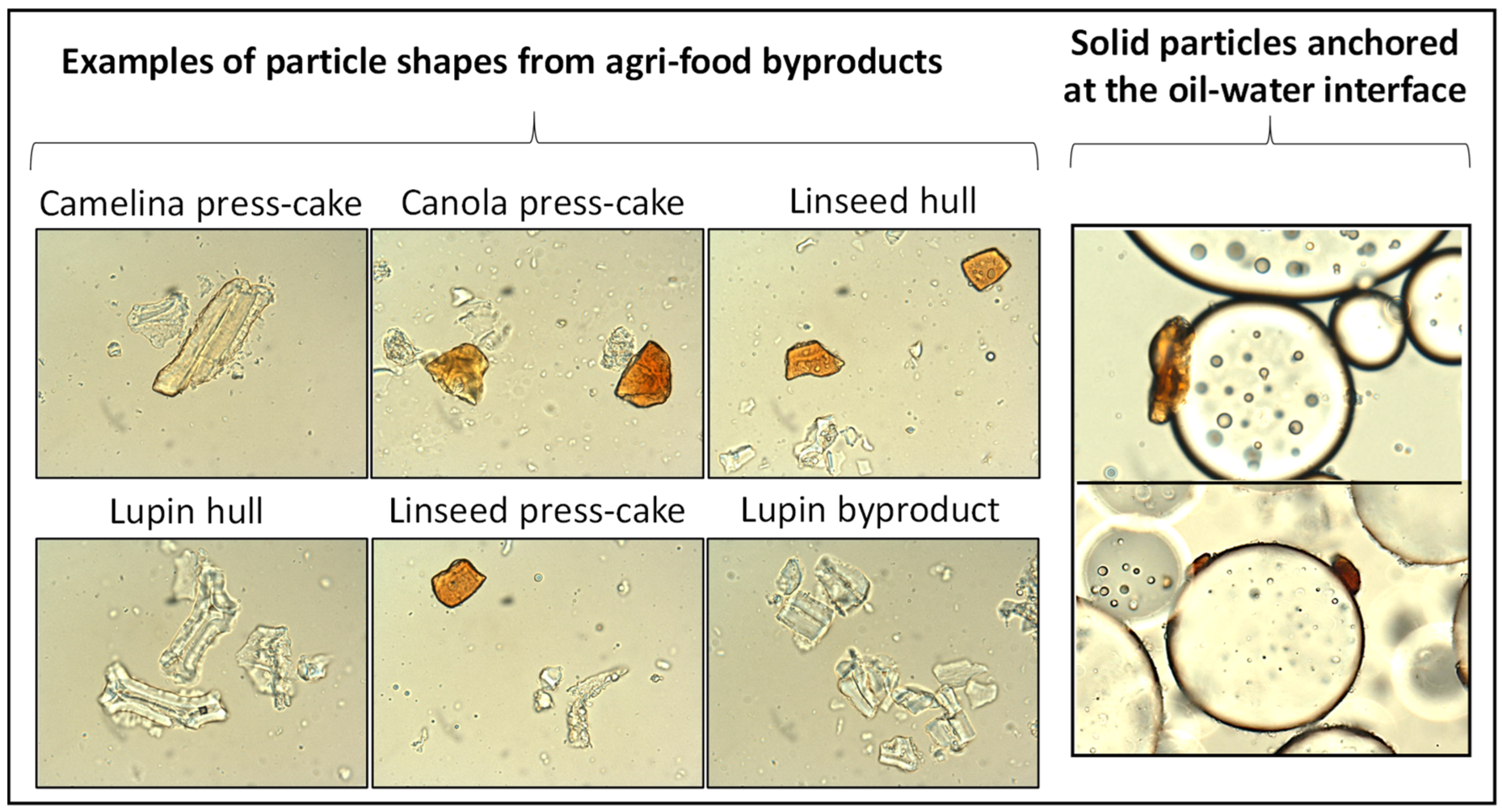 Colloids 07 00027 g004