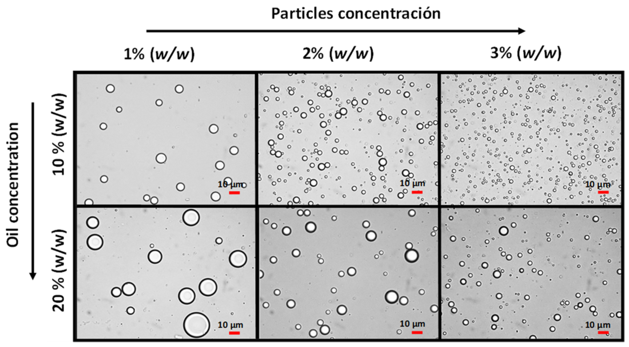 Colloids 07 00027 g005