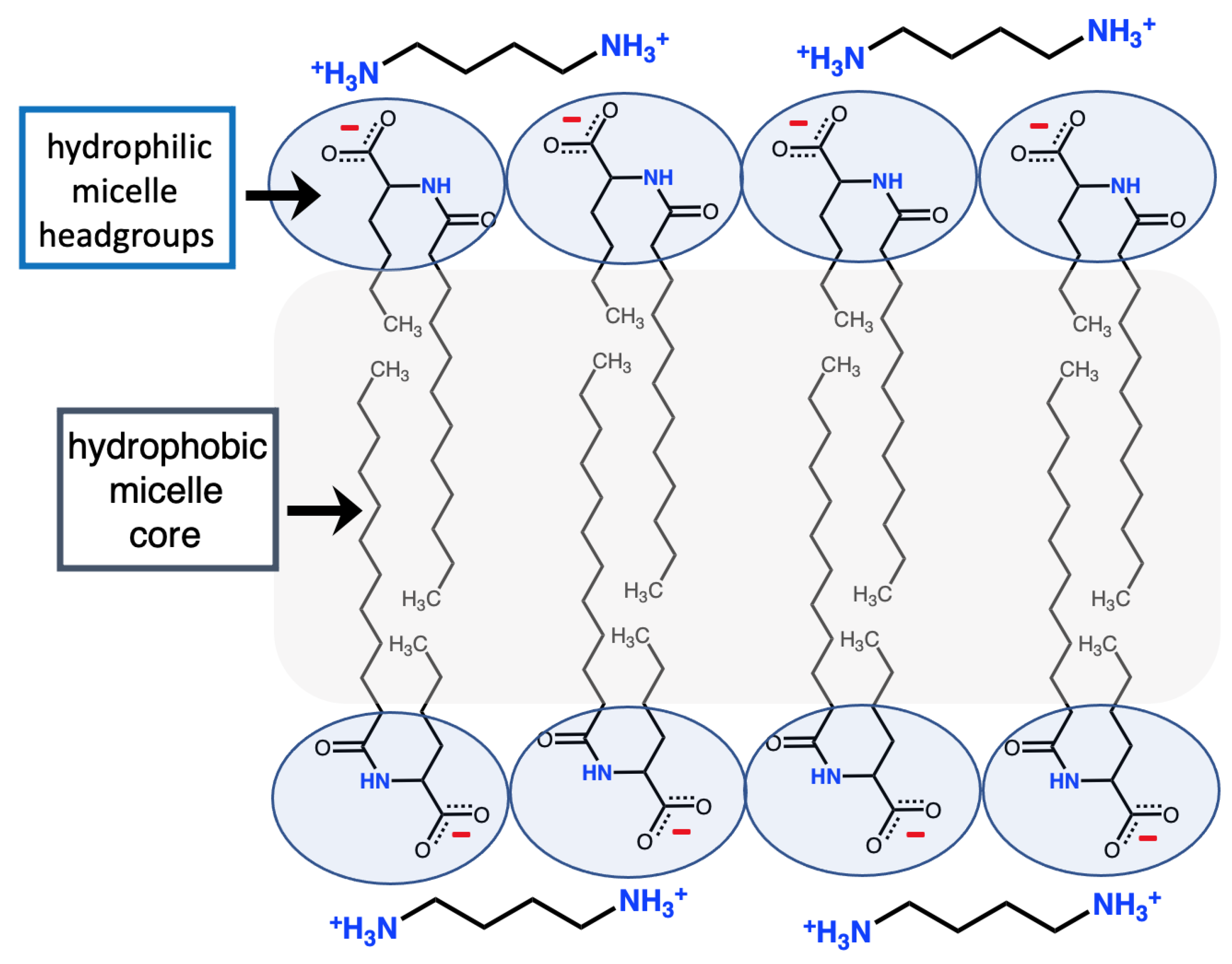Colloids 07 00028 g007
