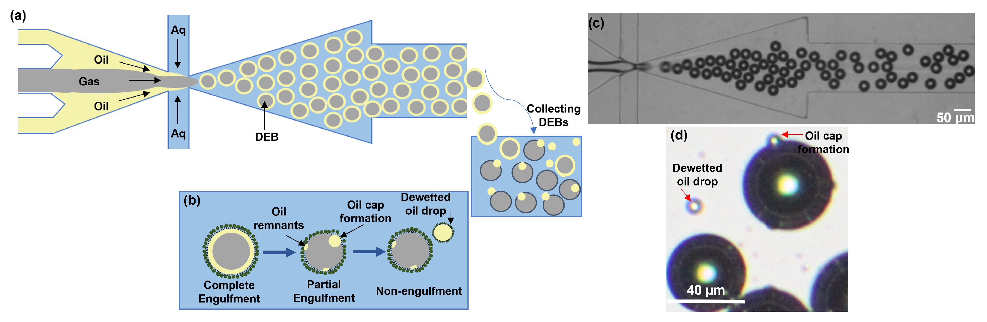 Colloids 07 00034 g003