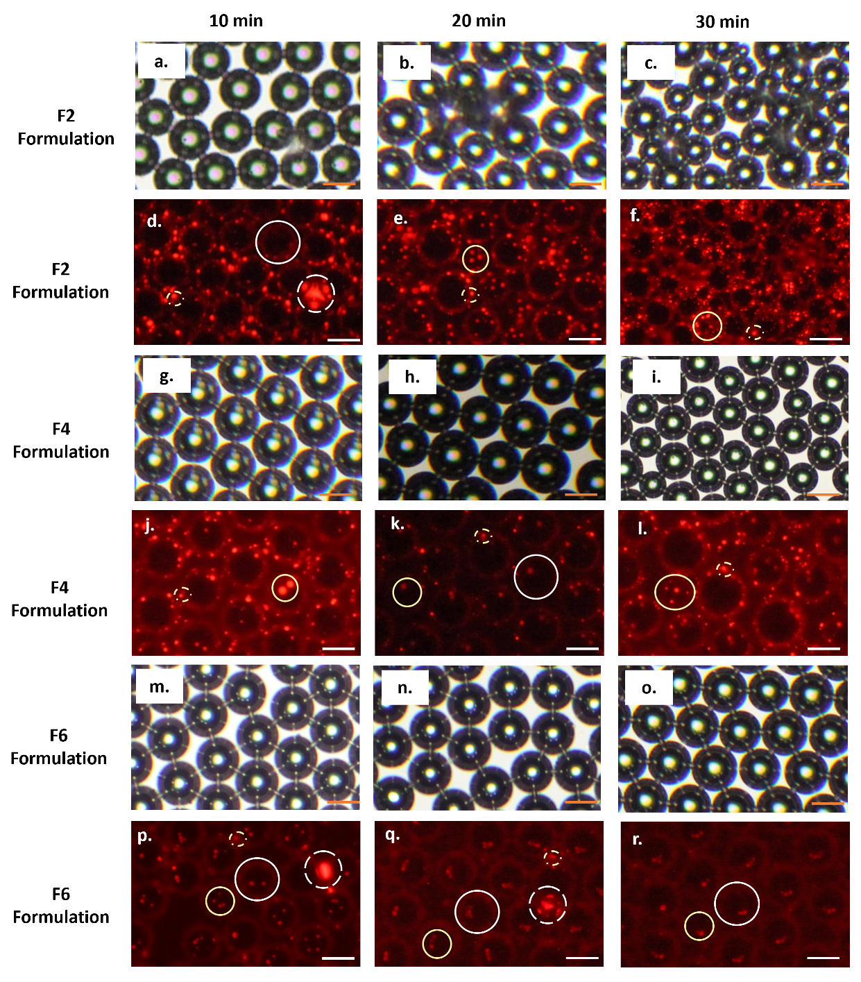 Colloids 07 00034 g004