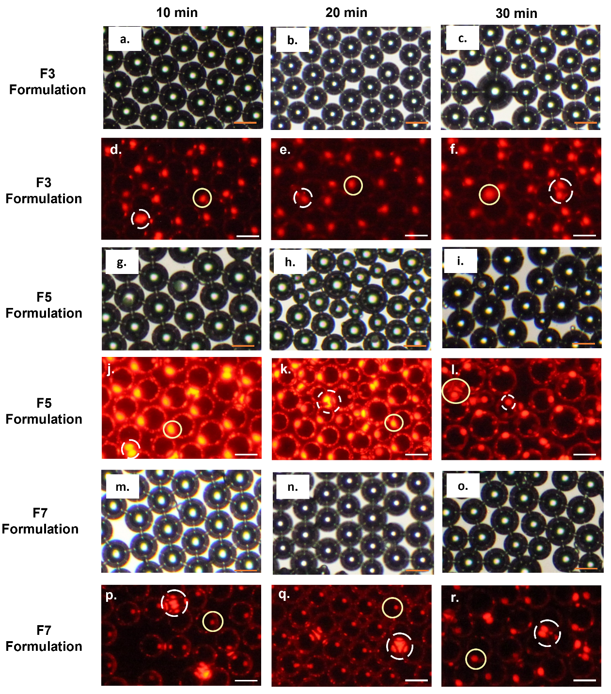 Colloids 07 00034 g007
