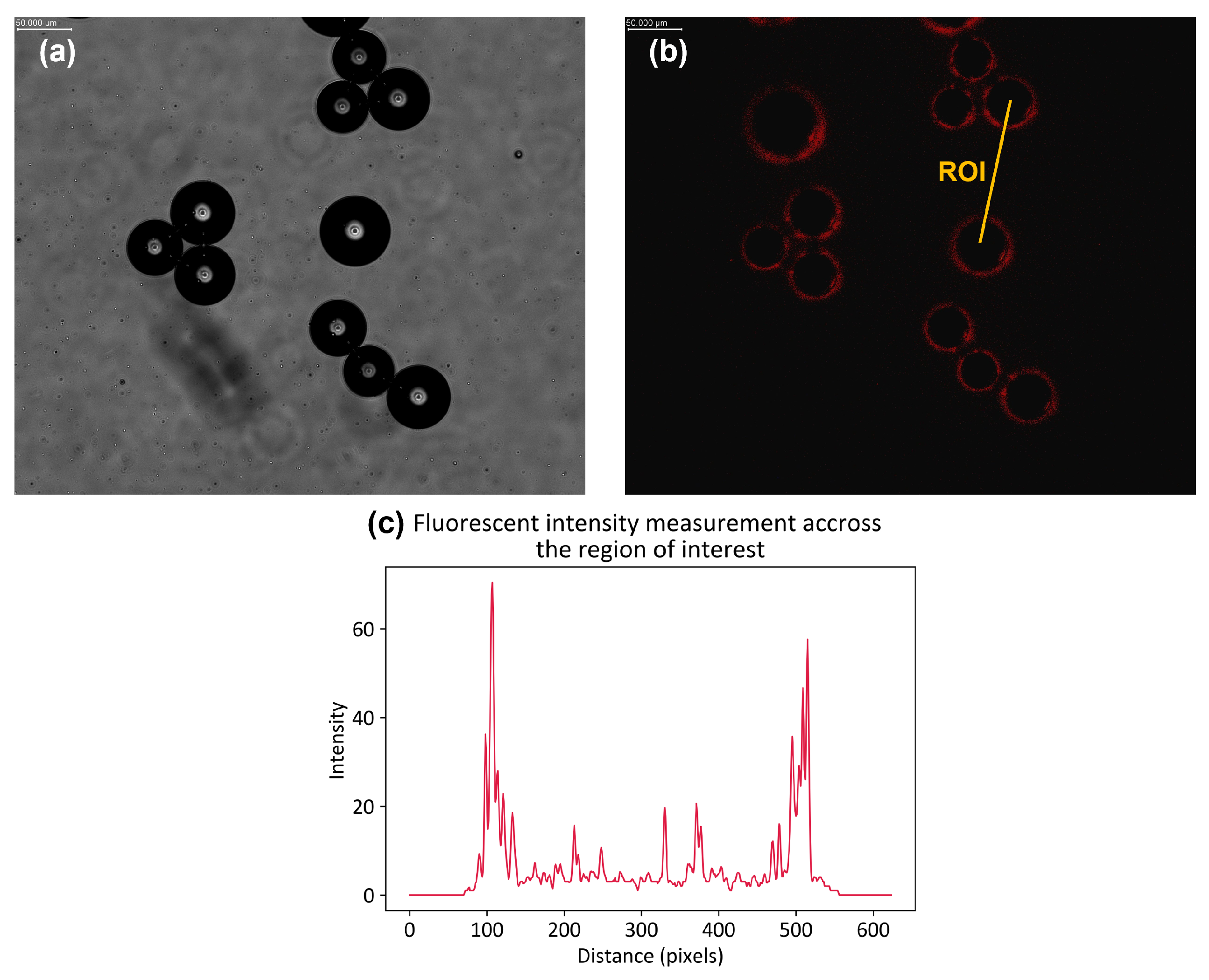 Colloids 07 00034 g009