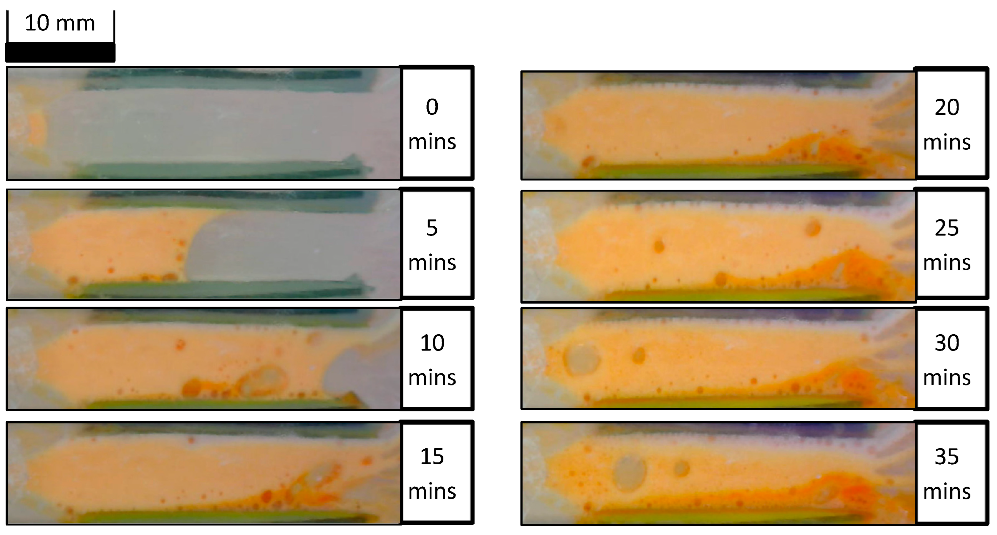 Colloids 07 00044 g003