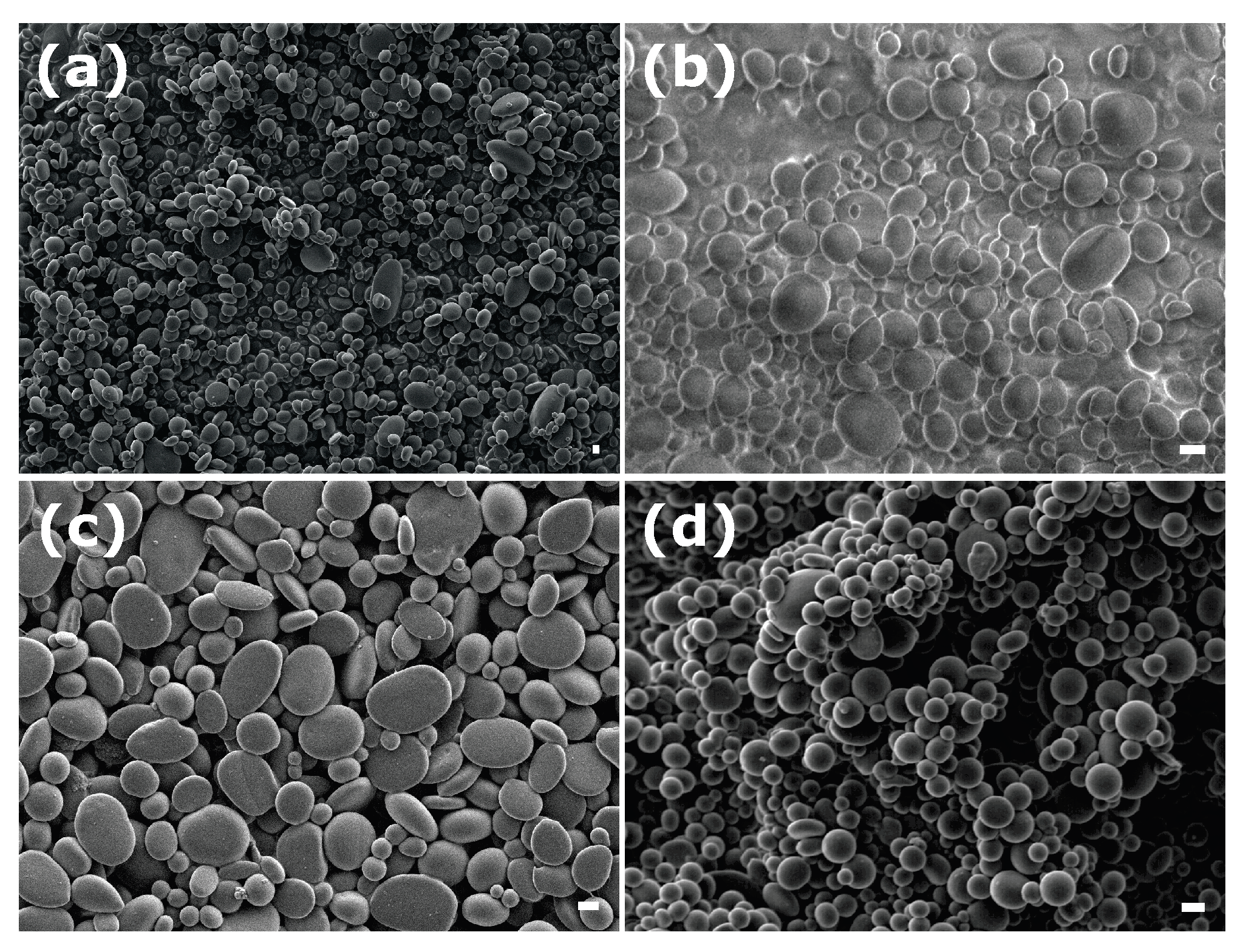 Colloids 07 00050 g004 Colloids 07 00050 g004