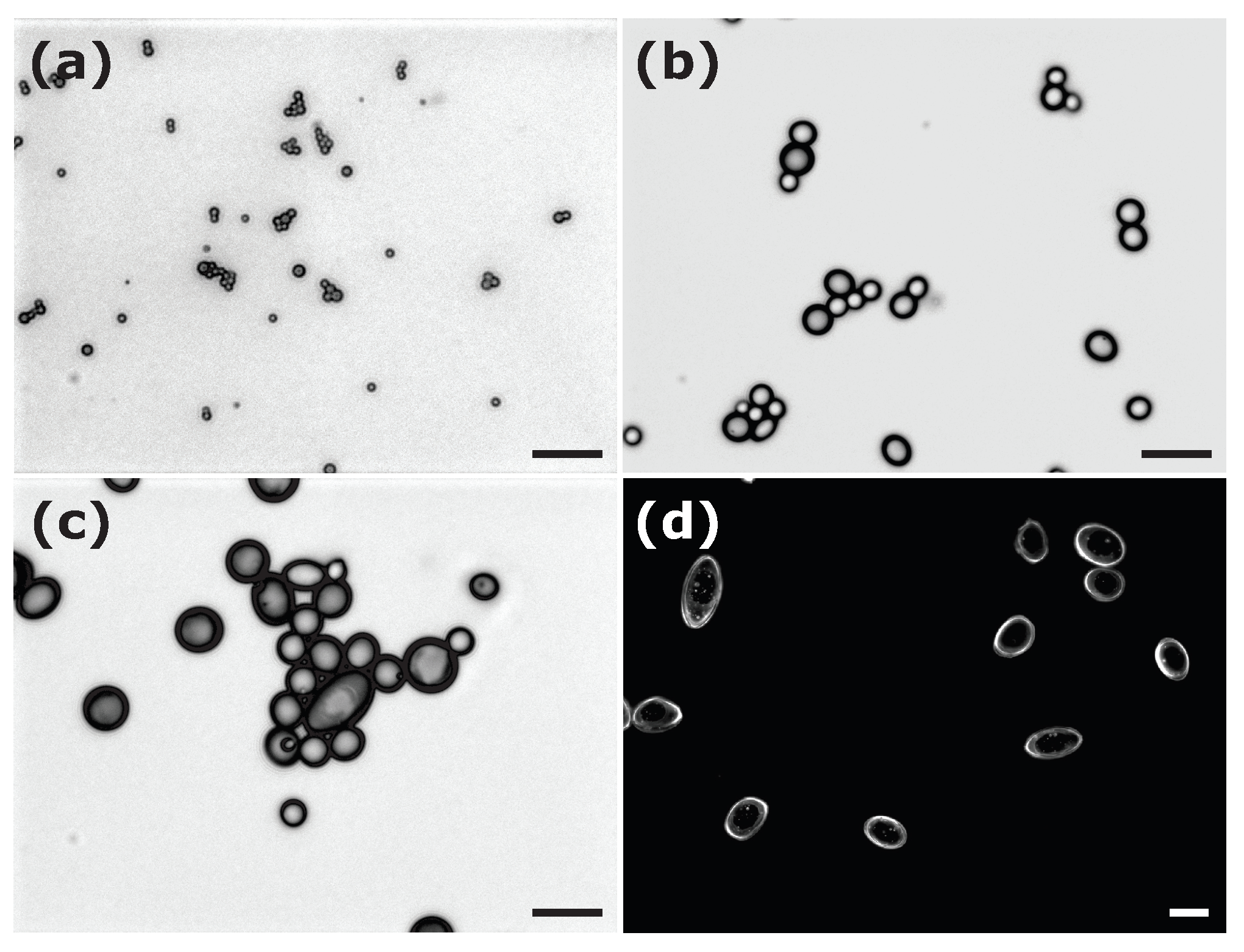 Colloids 07 00050 g006 Colloids 07 00050 g006