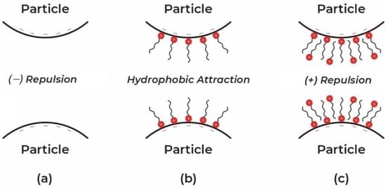 Colloids 07 00057 g009