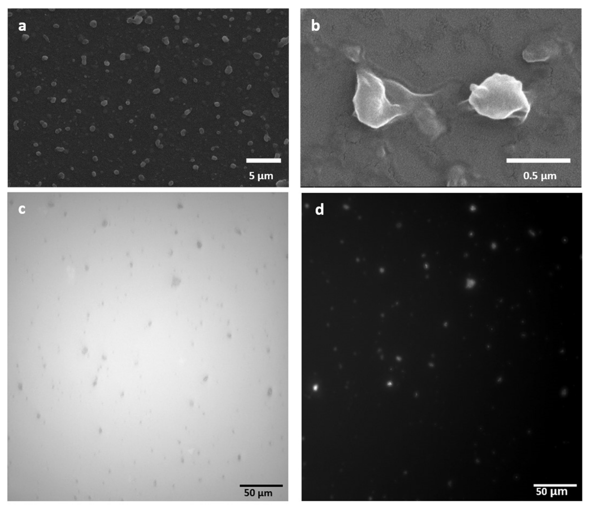 Colloids 08 00010 g003 Colloids 08 00010 g003