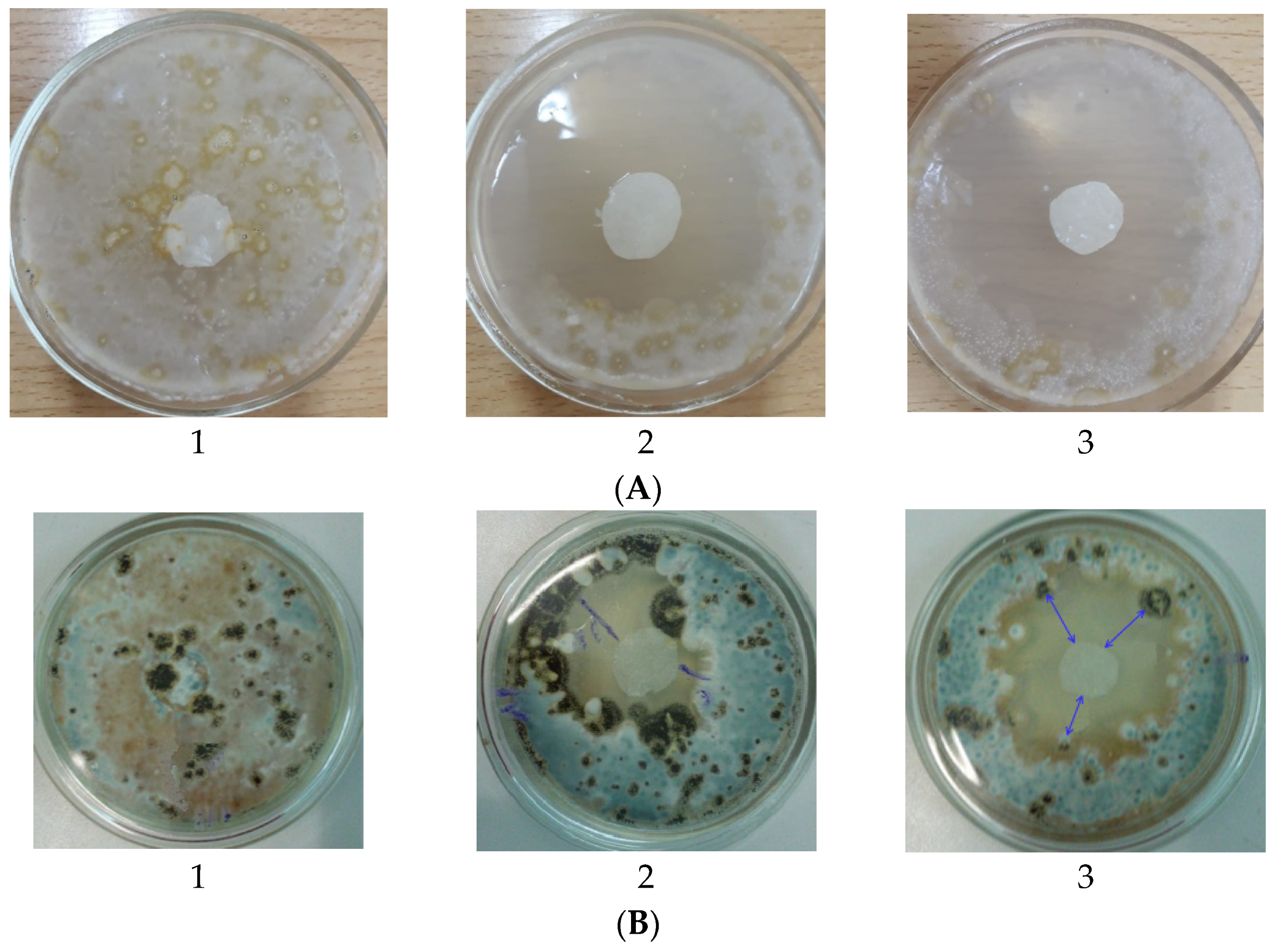 Colloids 08 00031 g008 Colloids 08 00031 g008
