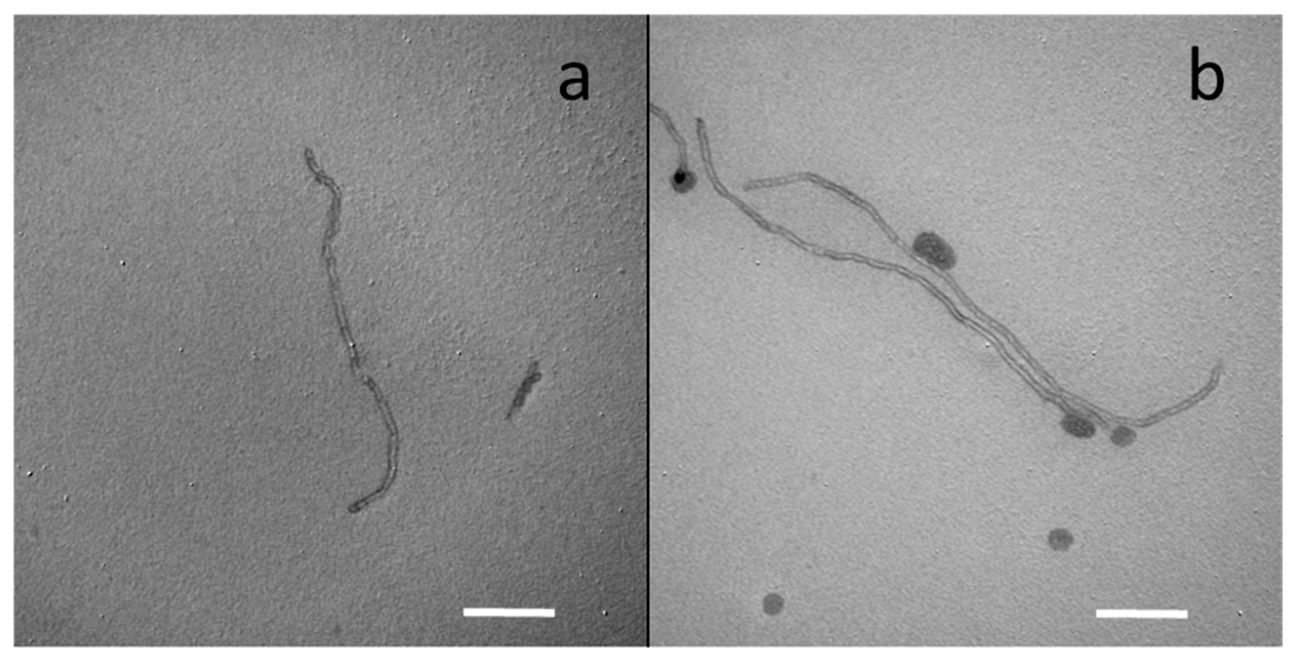 Colloids 08 00032 g001