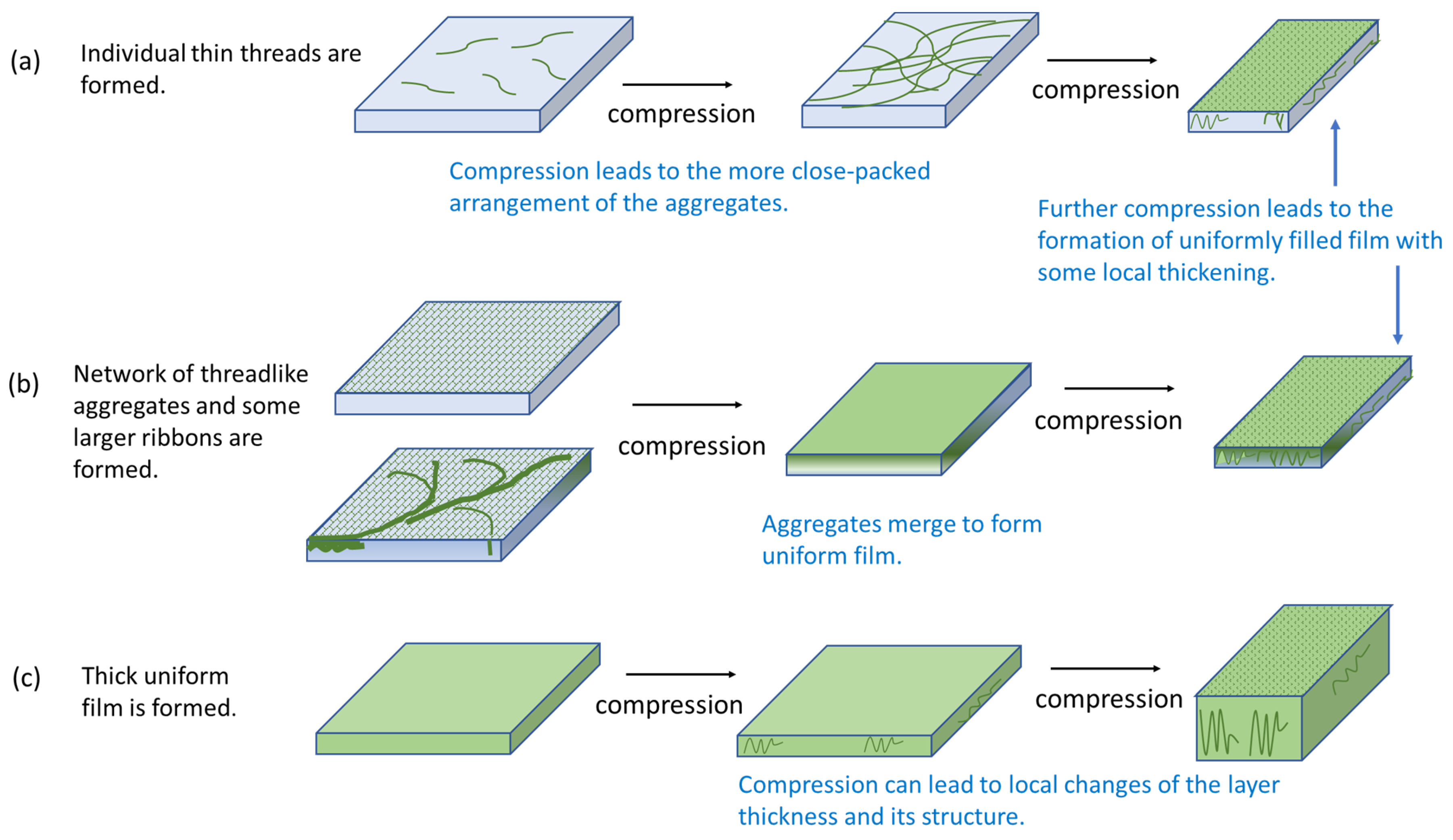 Colloids 08 00035 g006