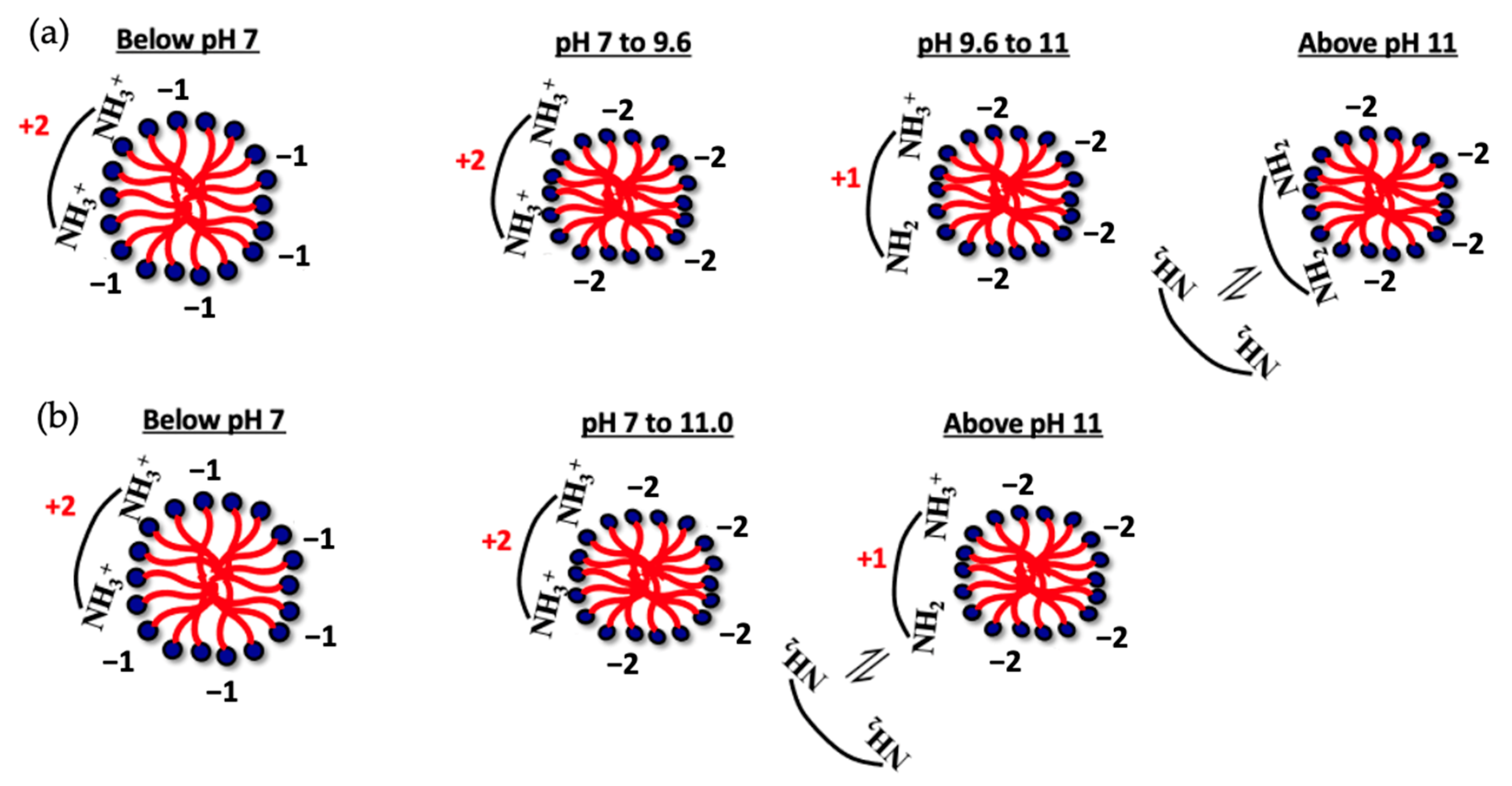 Colloids 08 00038 g006 Colloids 08 00038 g006