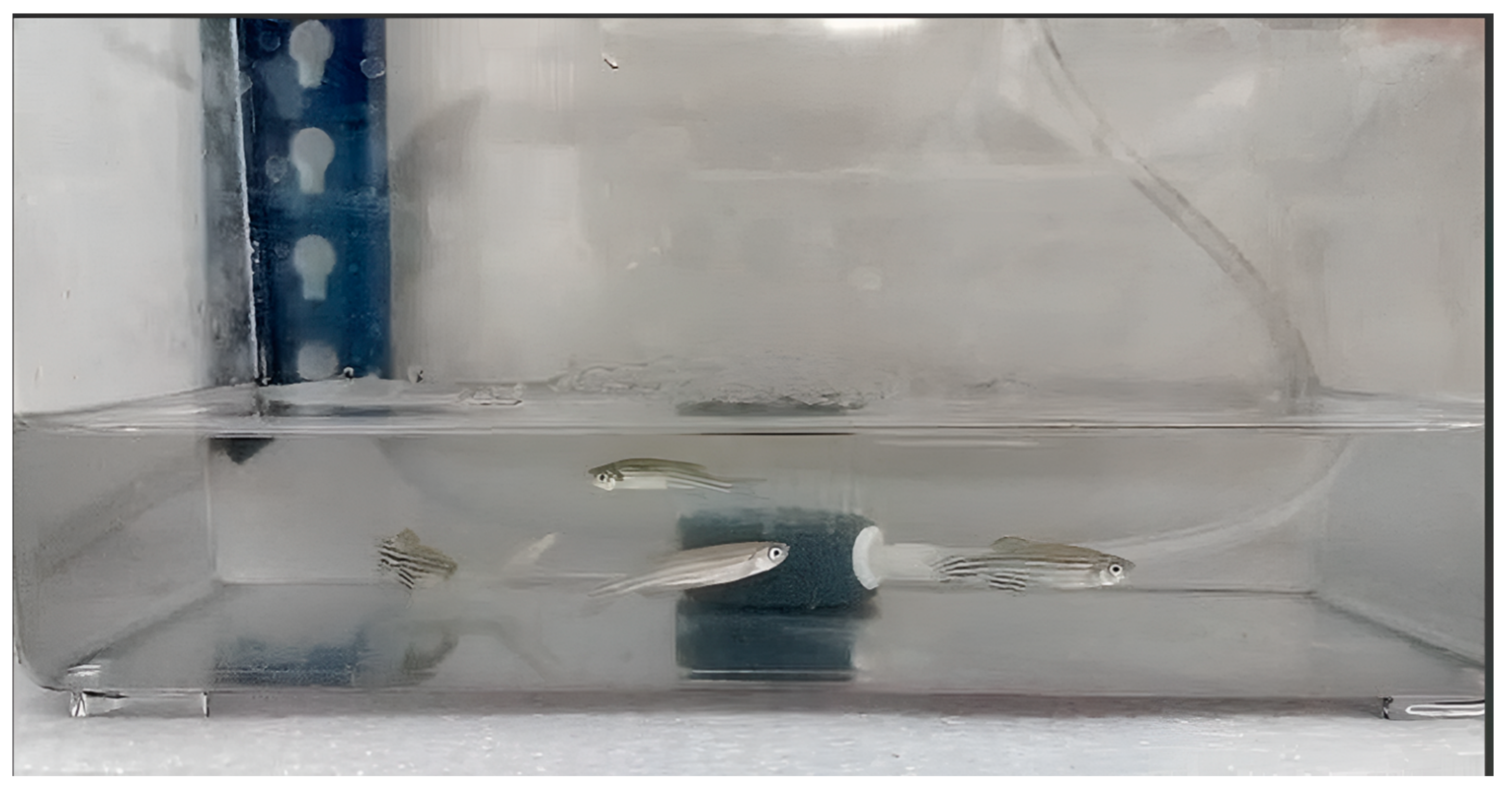 Colloids 08 00059 g006