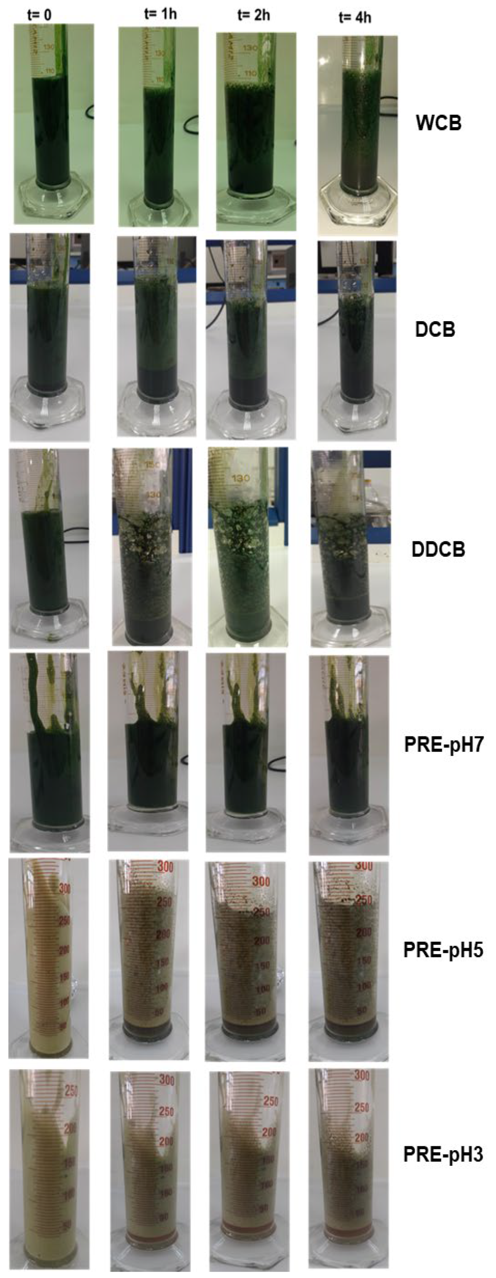 Colloids 08 00066 g006
