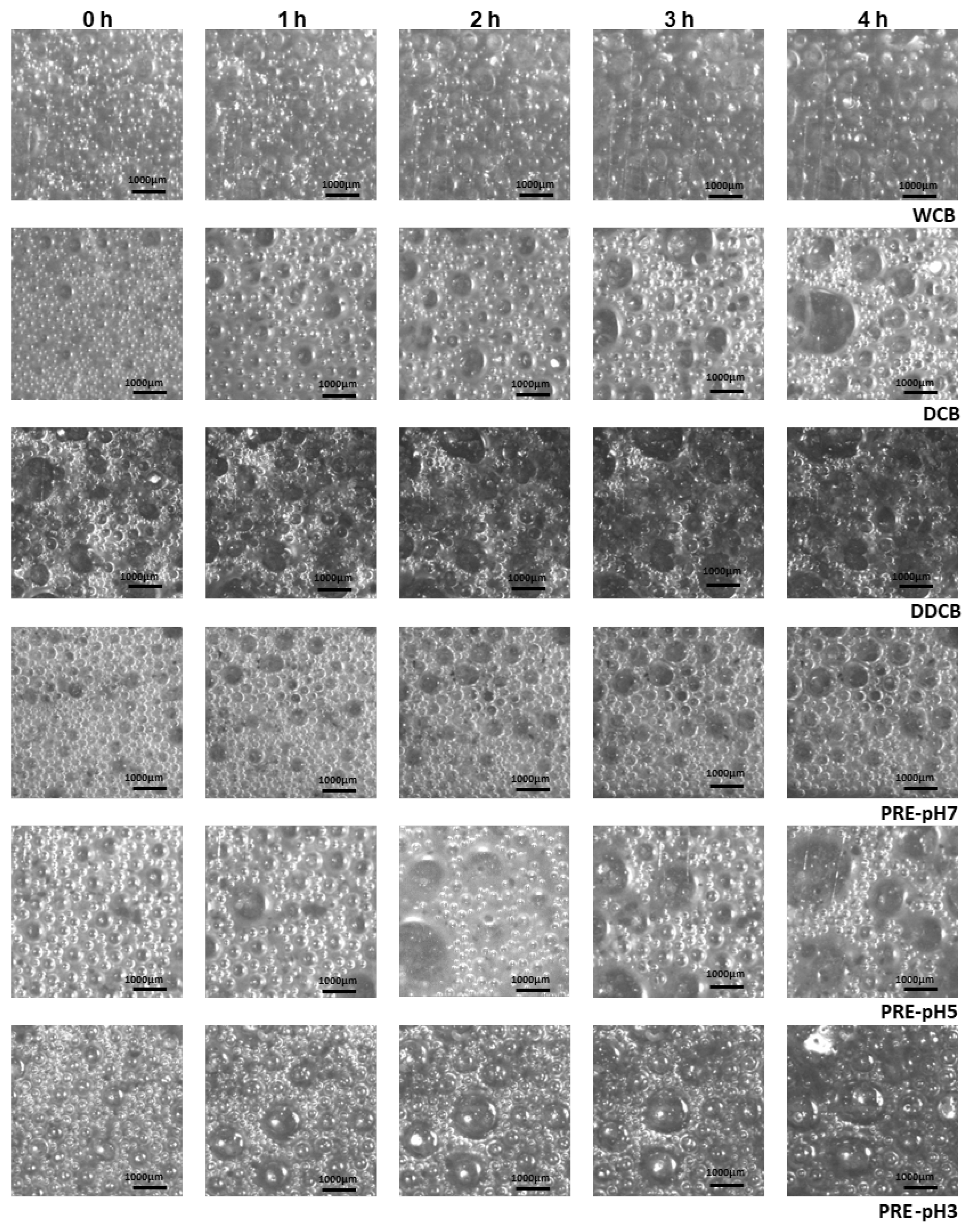 Colloids 08 00066 g007