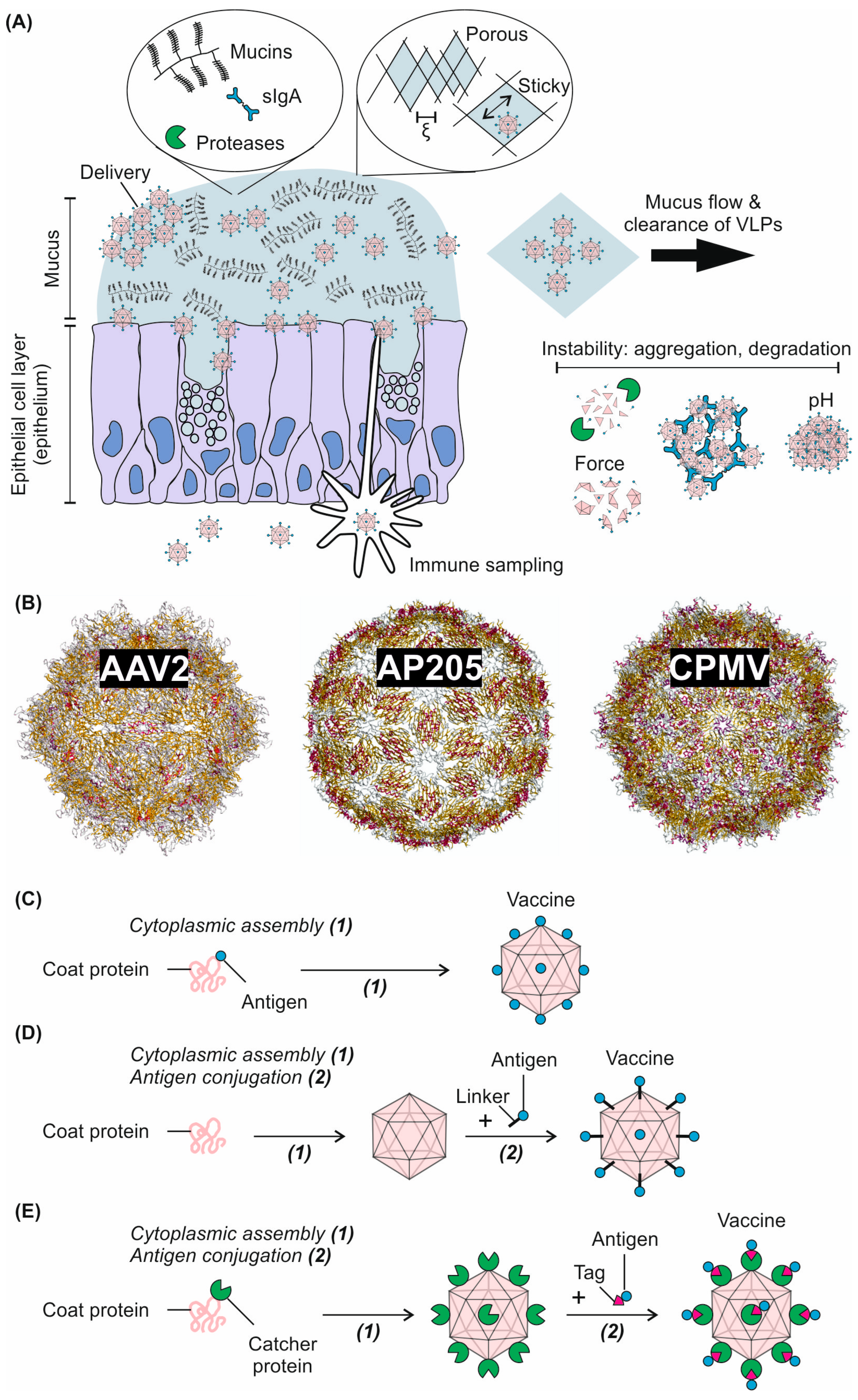Colloids 08 00068 g001 Colloids 08 00068 g001