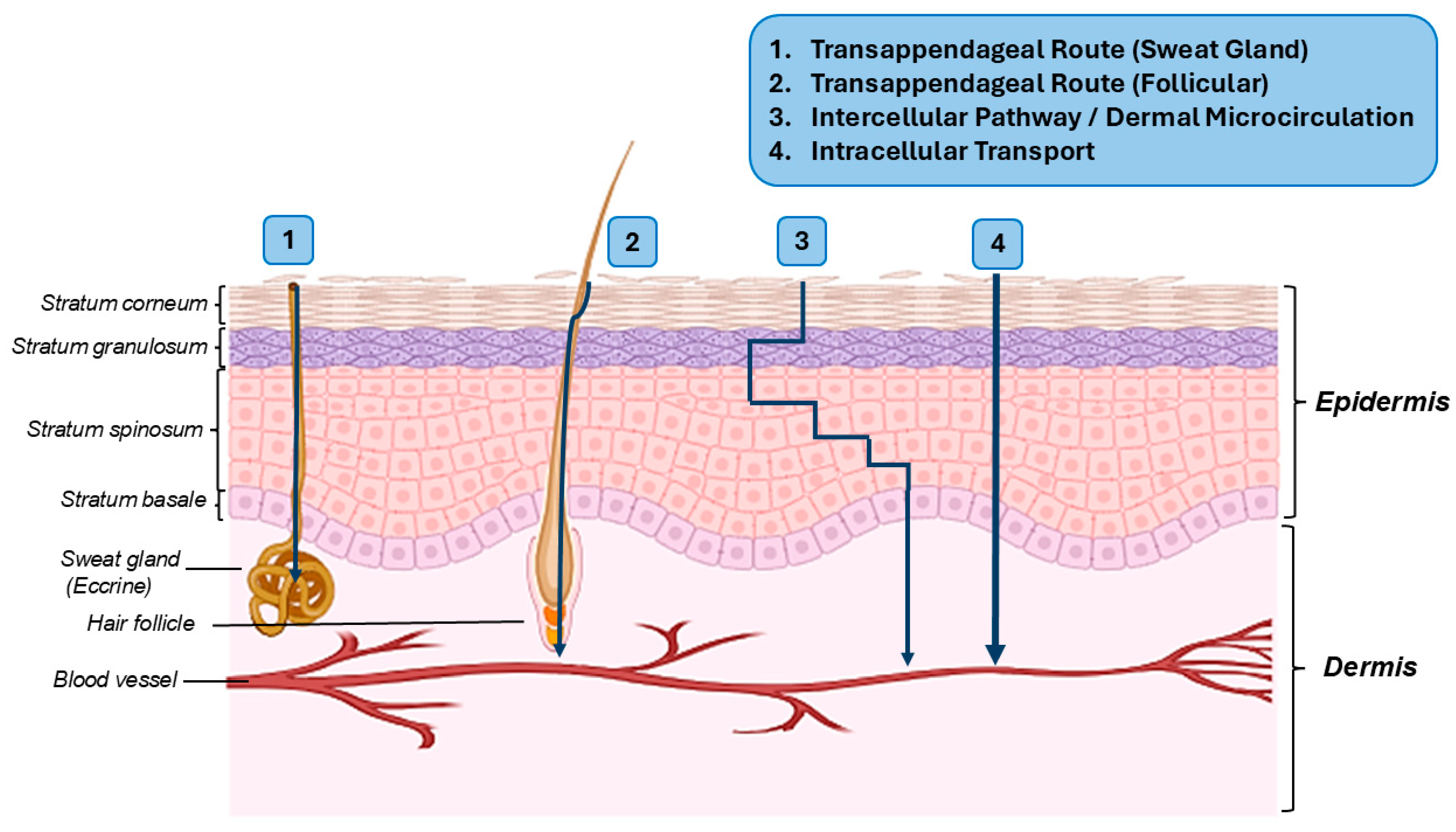 Colloids 09 00017 g003