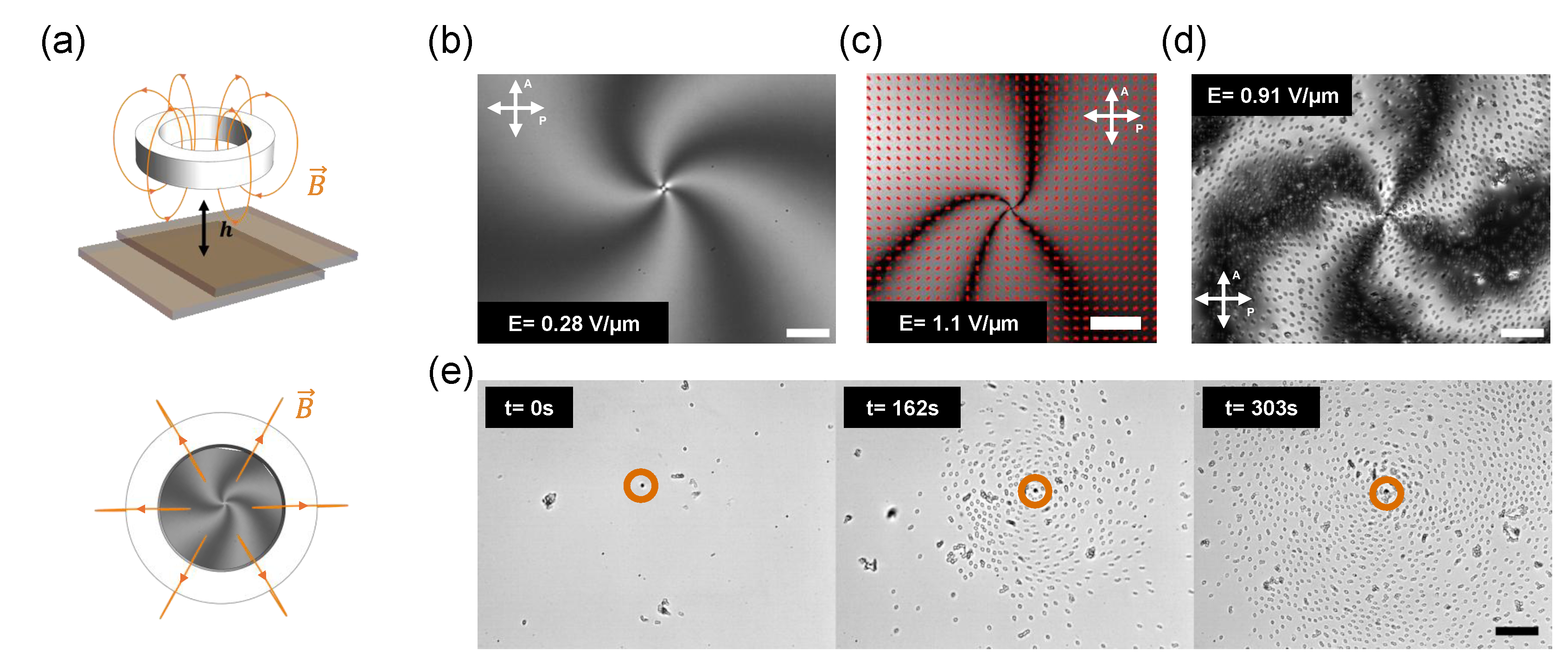Colloids 09 00027 g003 Colloids 09 00027 g003