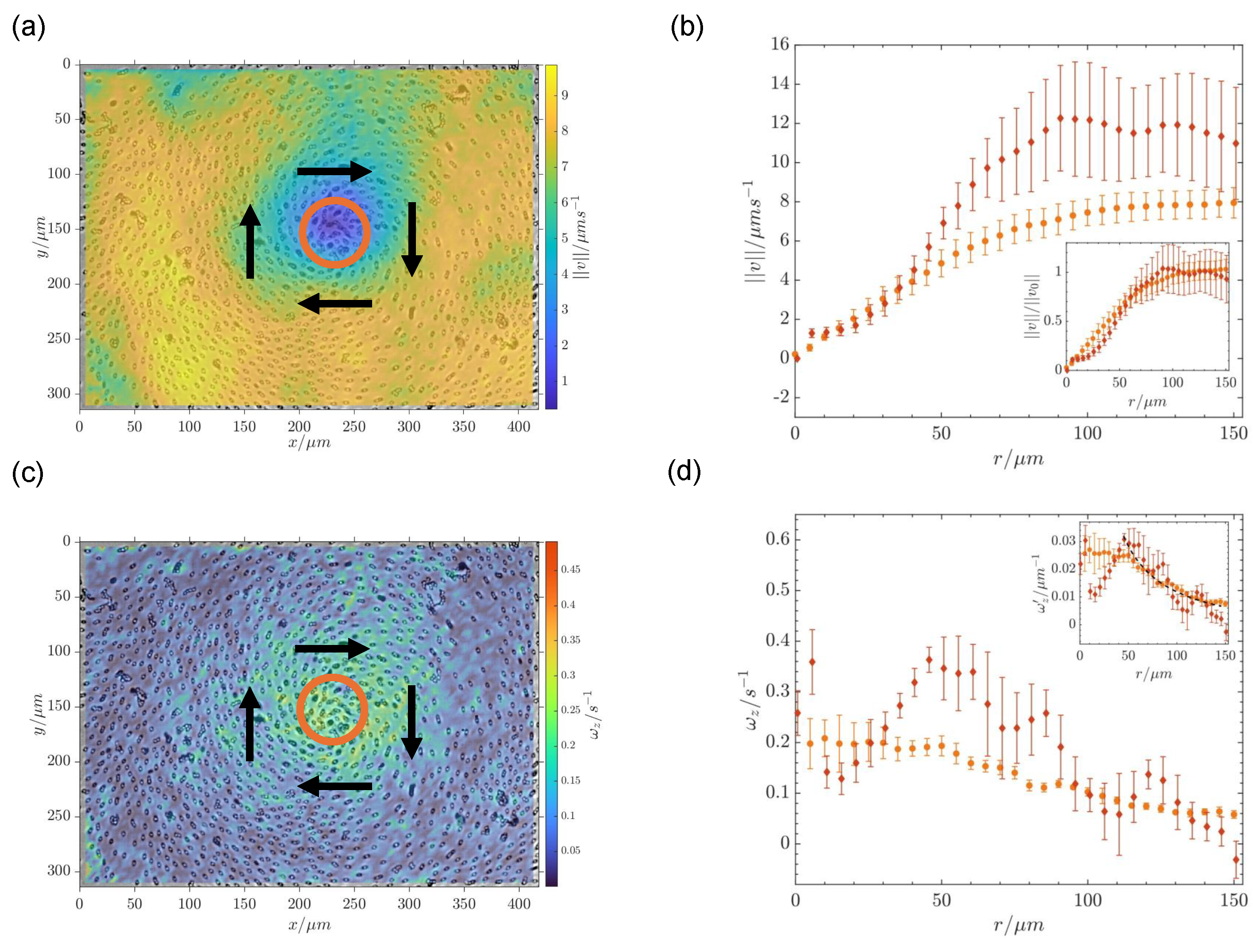 Colloids 09 00027 g004 Colloids 09 00027 g004