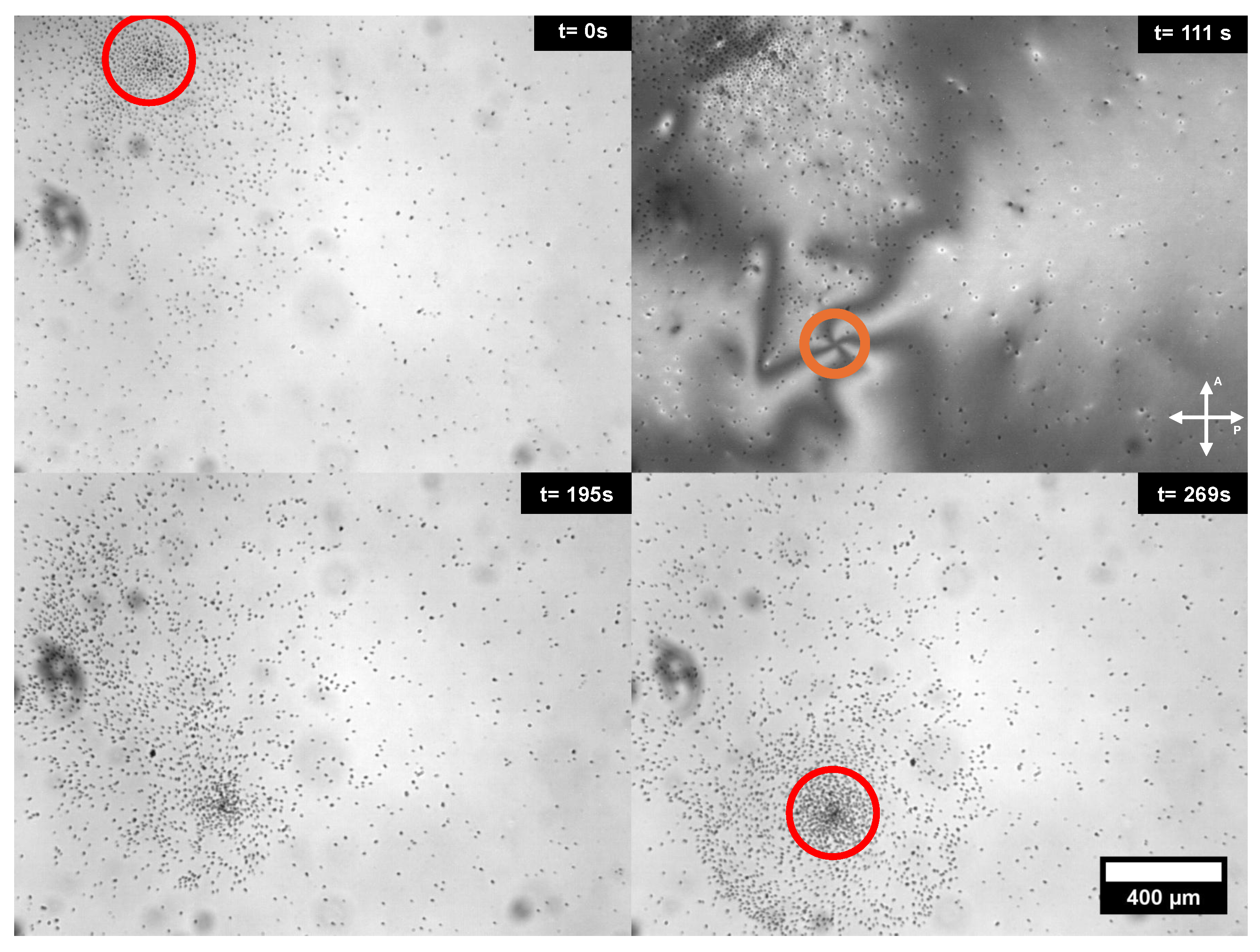 Colloids 09 00027 g005 Colloids 09 00027 g005