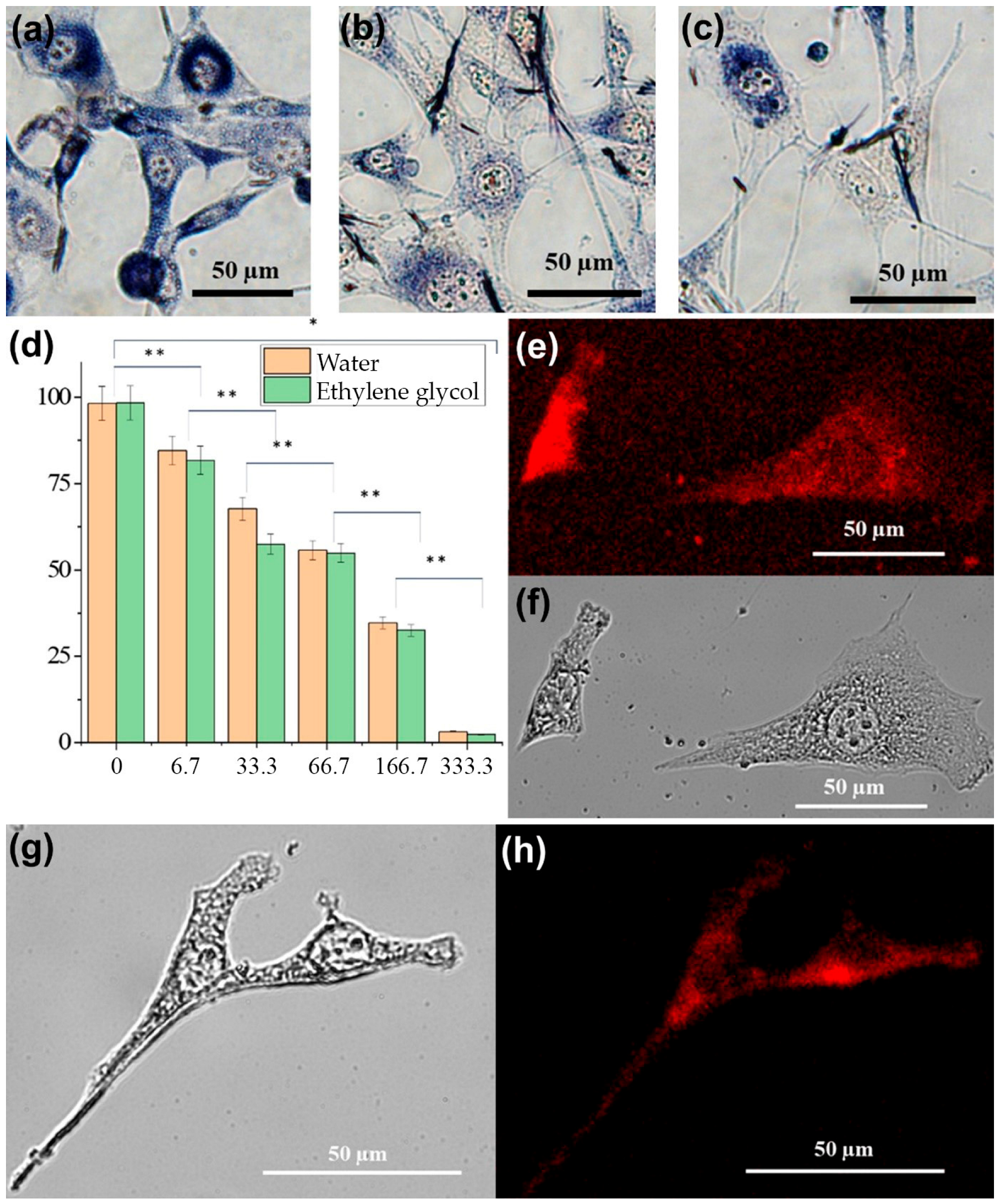 Colloids 09 00033 g006