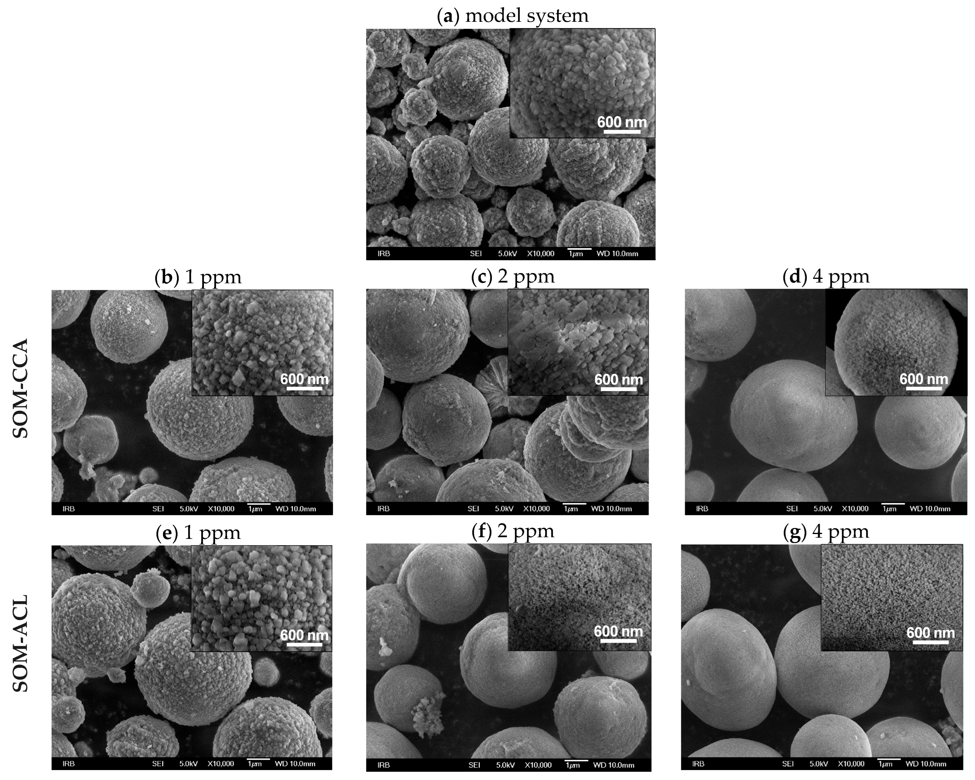 Colloids 09 00050 g004