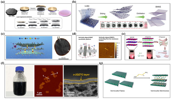 Colloids 09 00063 g005