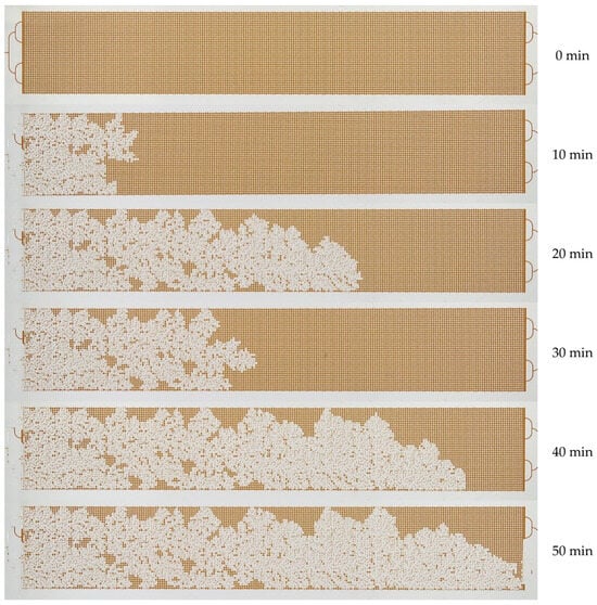 Colloids 09 00086 g013