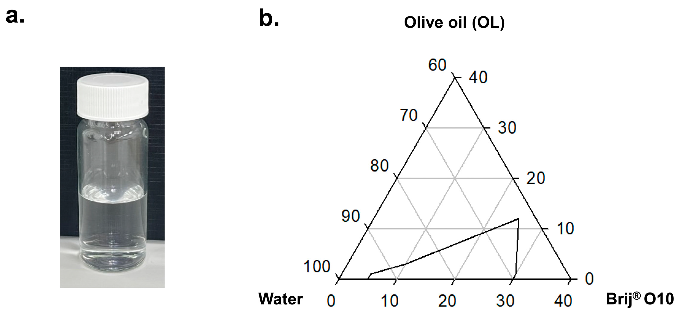 Colloids 10 00006 g001