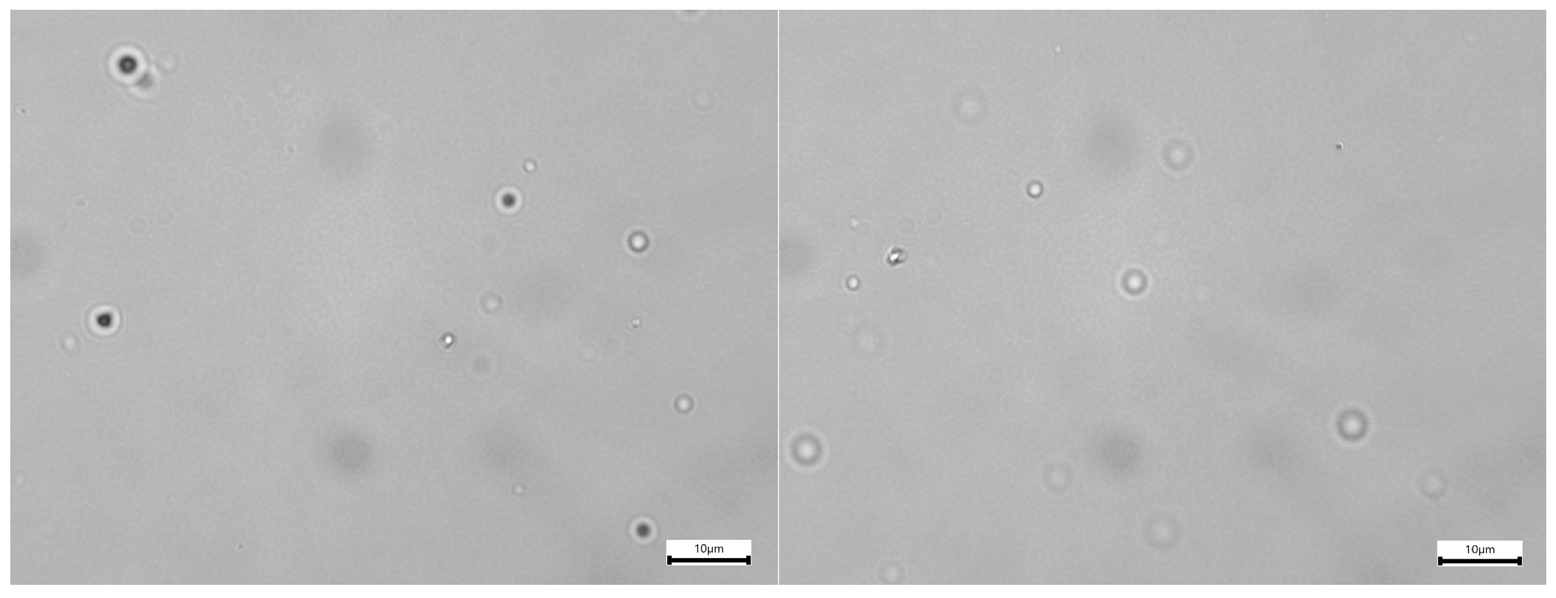 Colloids 10 00020 g006 Colloids 10 00020 g006