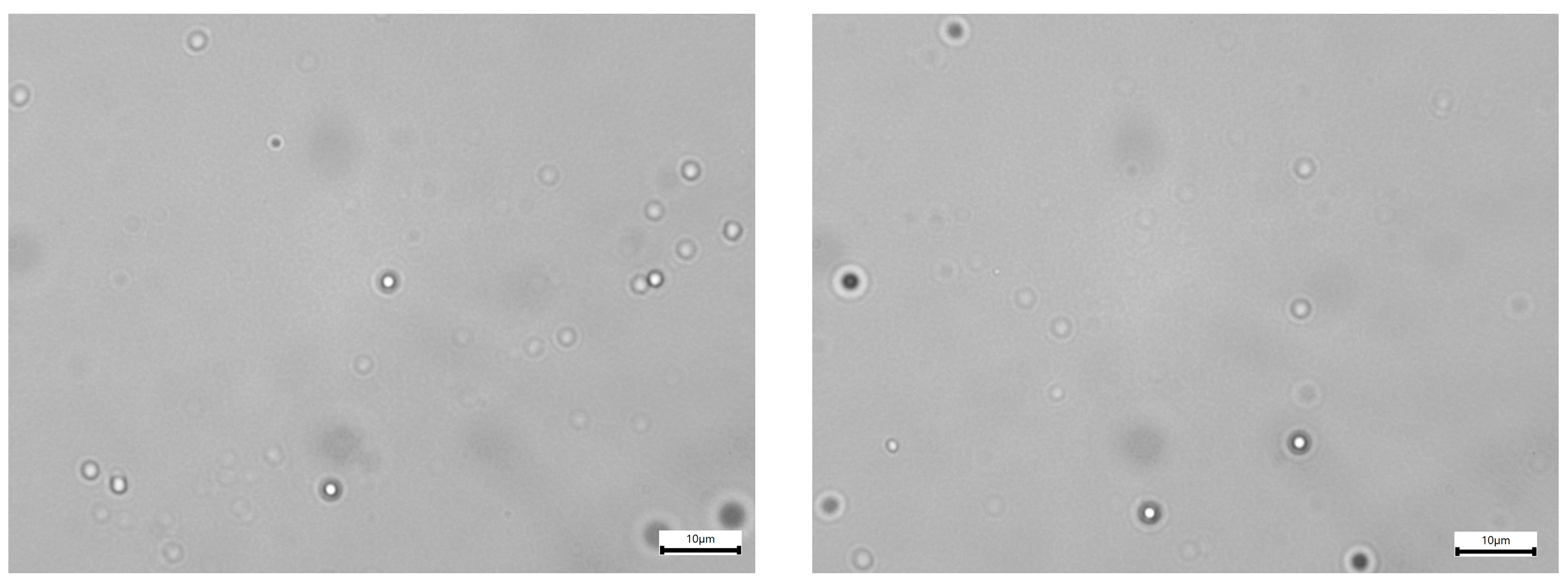 Colloids 10 00020 g008 Colloids 10 00020 g008