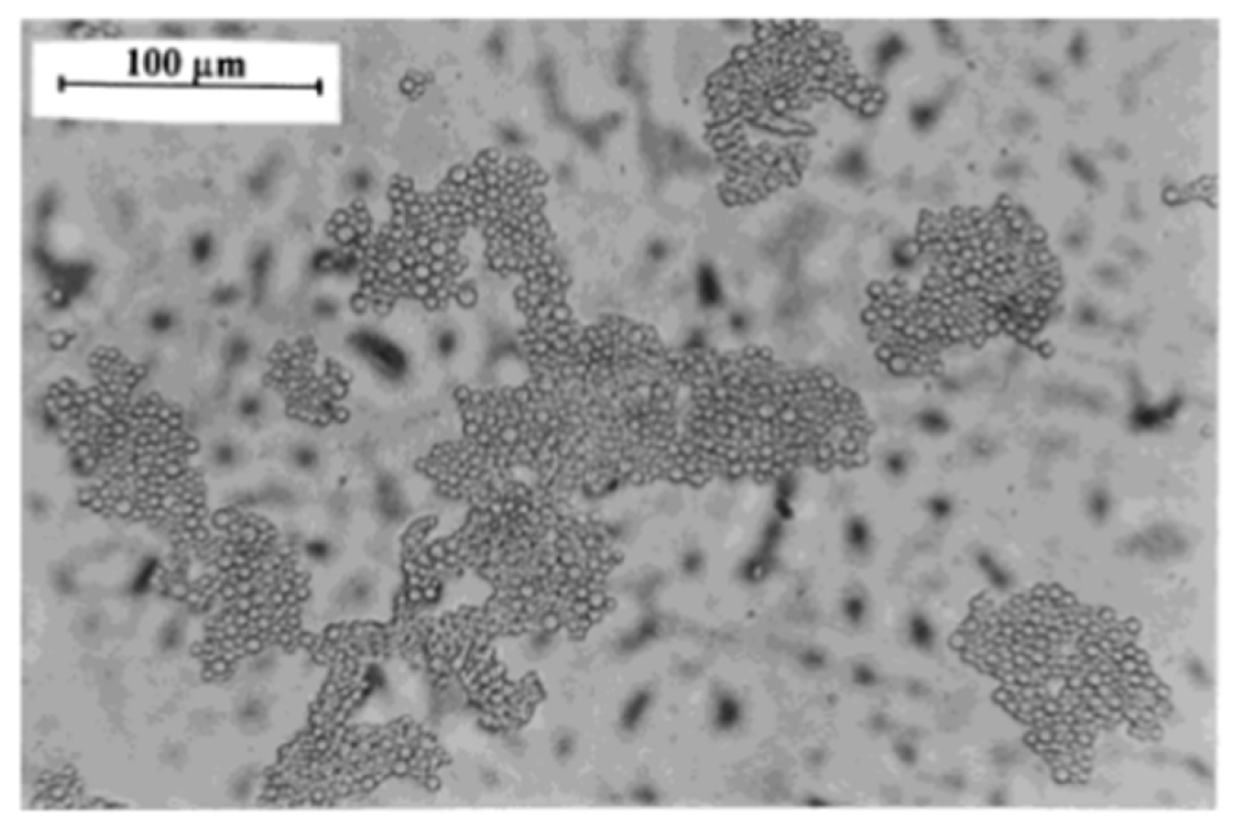 Colloids 10 00028 g072