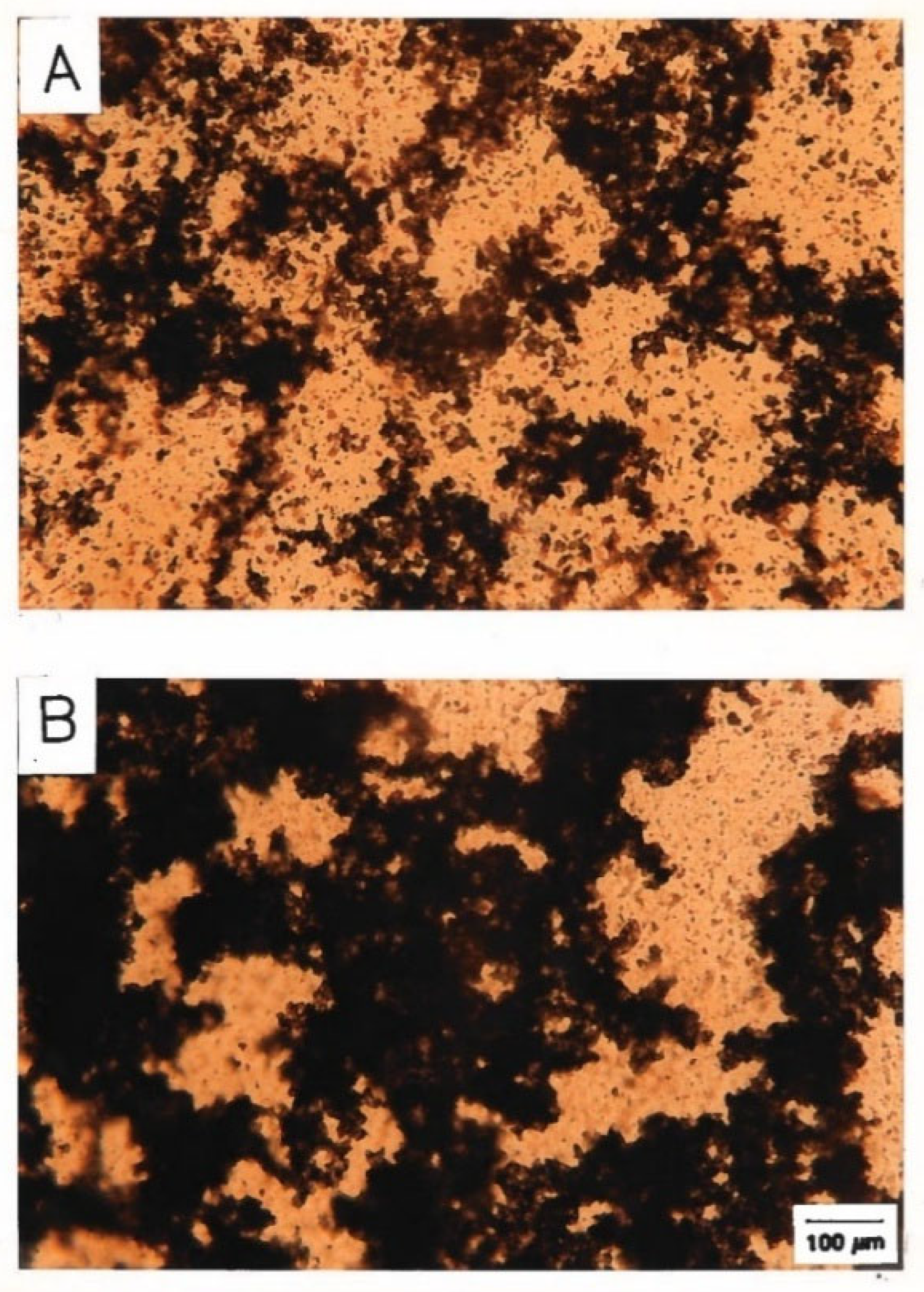 Colloids 10 00028 g074