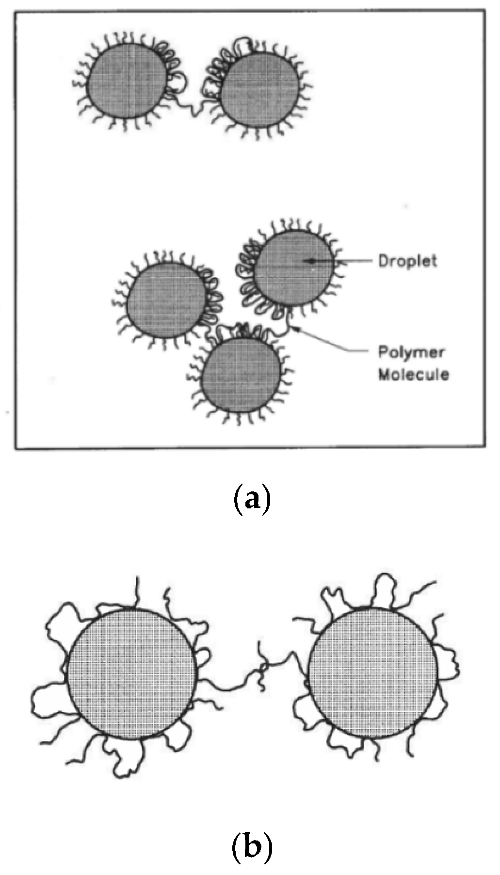 Colloids 10 00028 g078