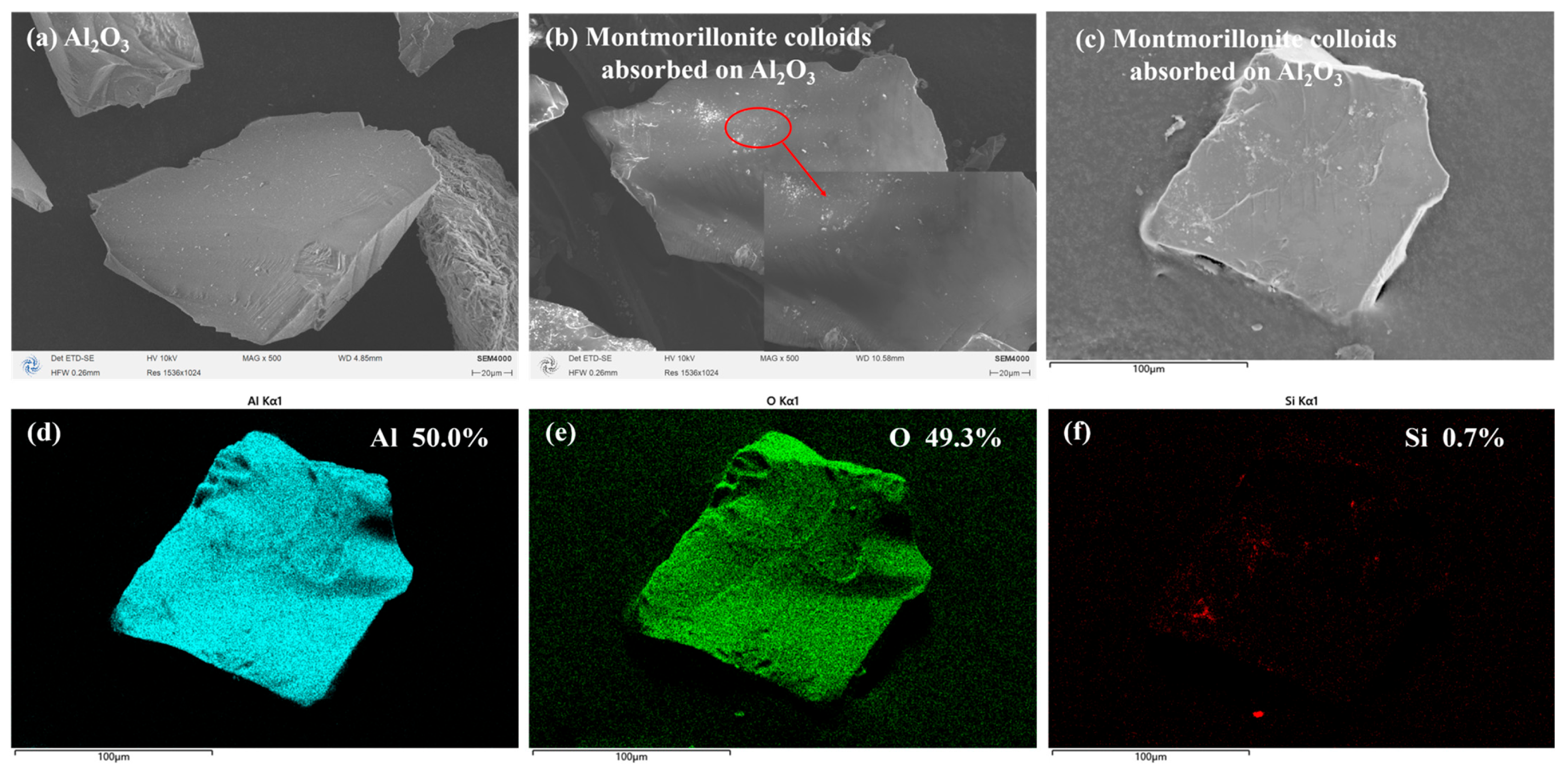 Colloids 10 00031 g004 Colloids 10 00031 g004